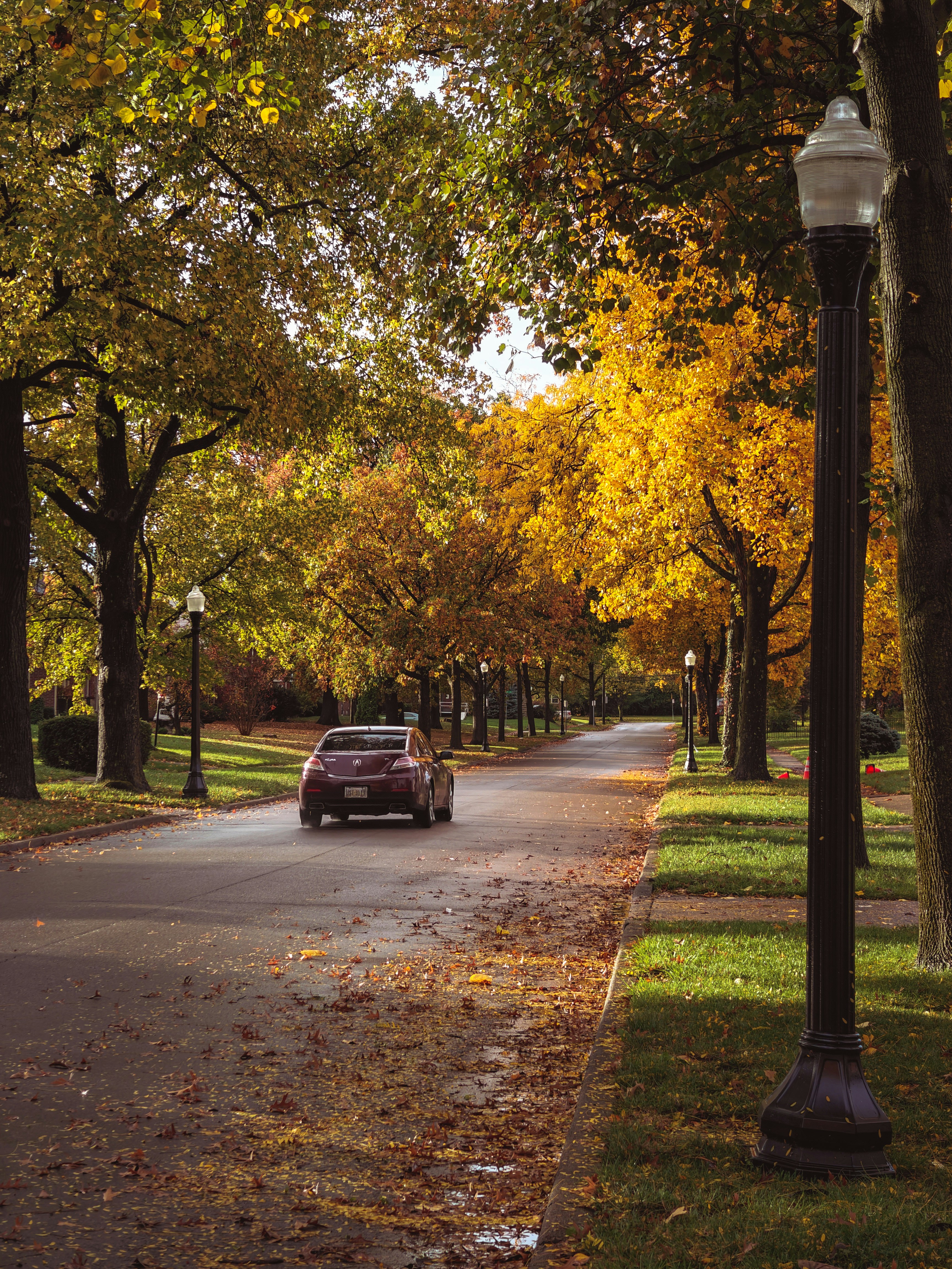 Photo by jeffrey_jpeg