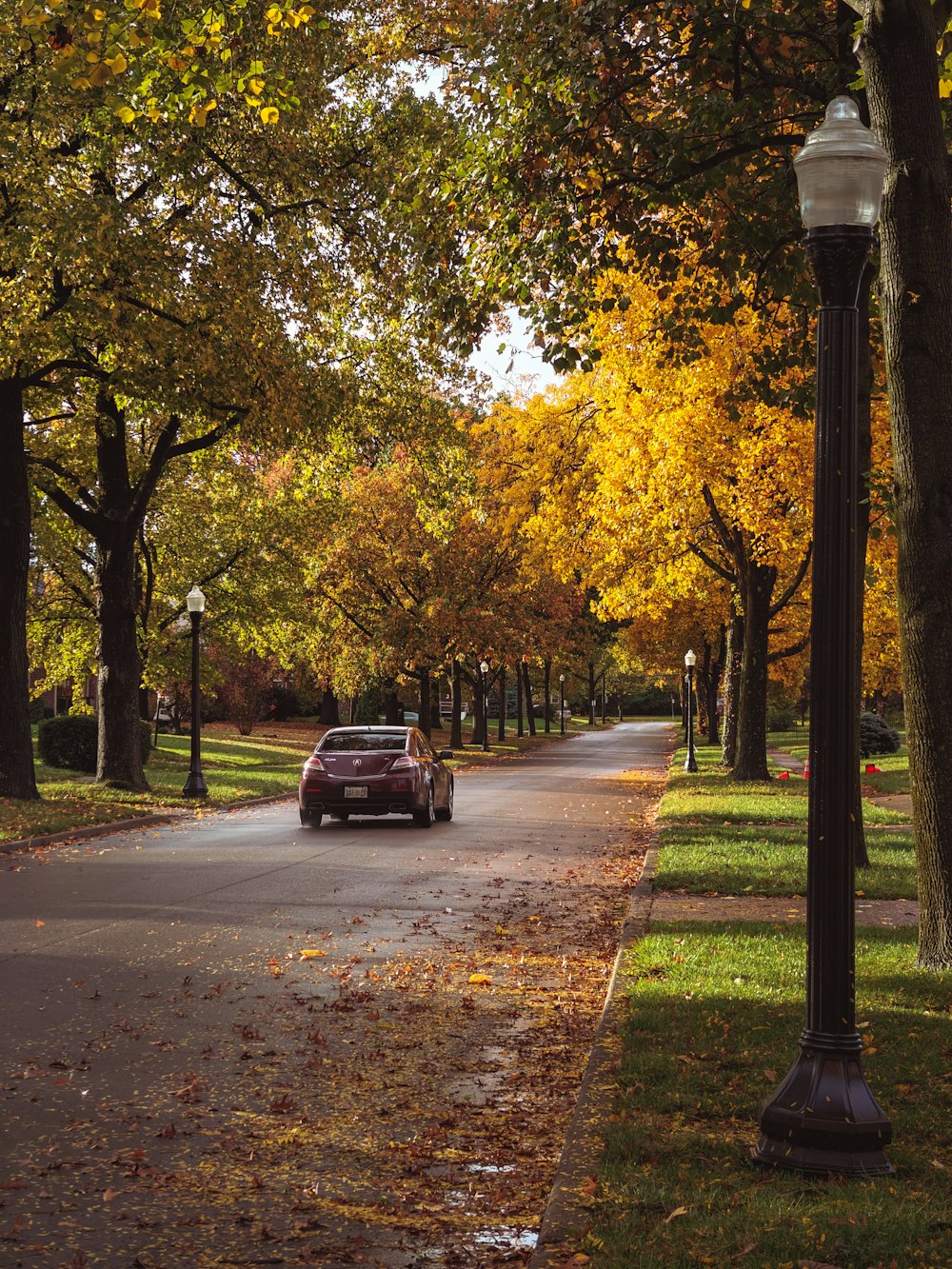 a car driving down a tree lined street