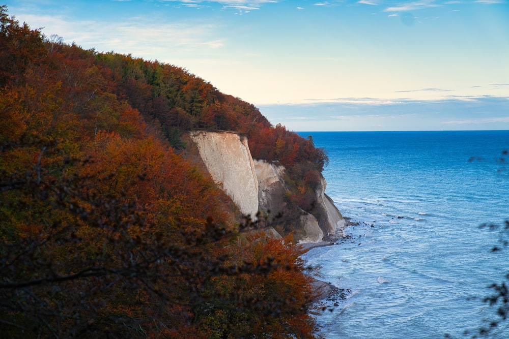 a scenic view of the ocean from a cliff