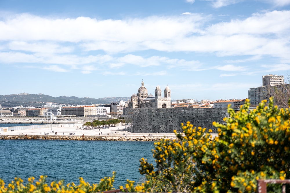 a large body of water with a city in the background