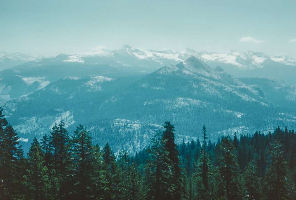 a view of a mountain range with trees in the foreground