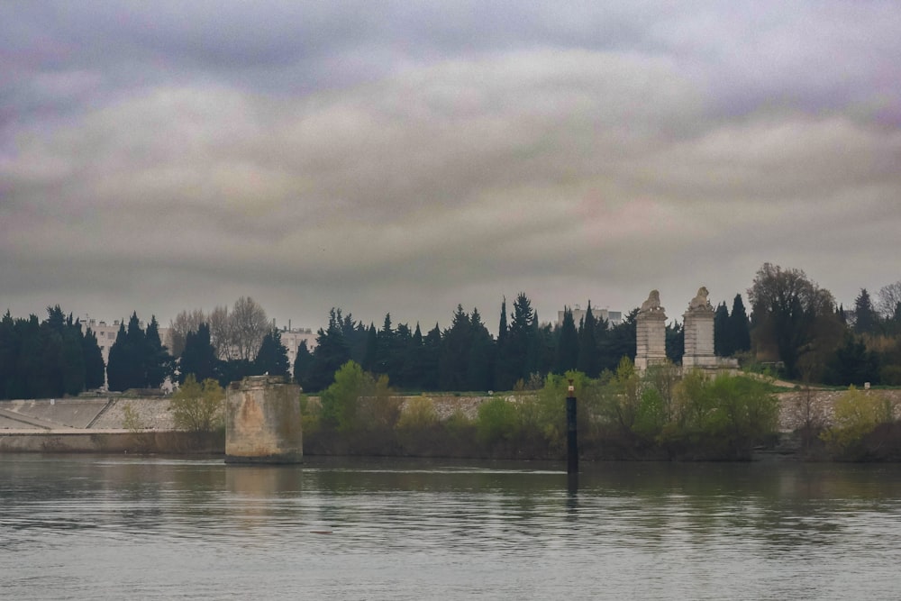 a large body of water with trees in the background