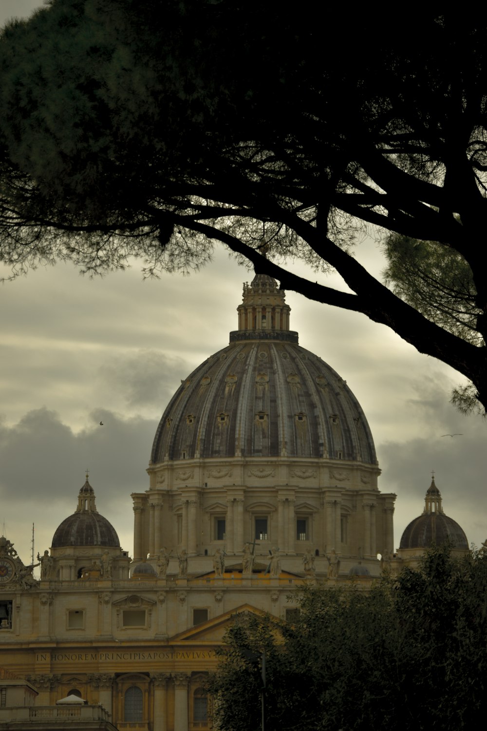 the dome of a building with a tree in front of it