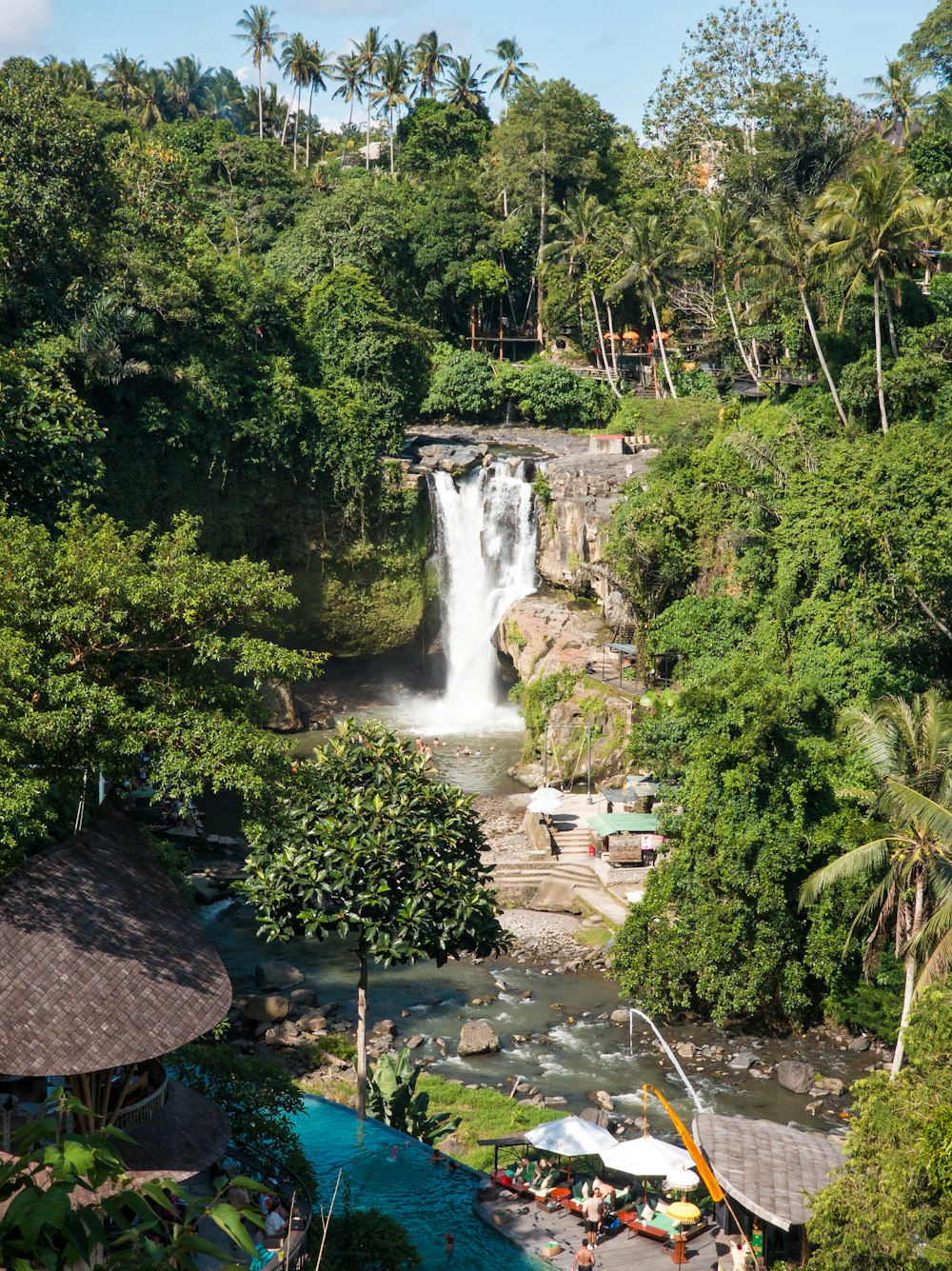 a waterfall in the middle of a forest