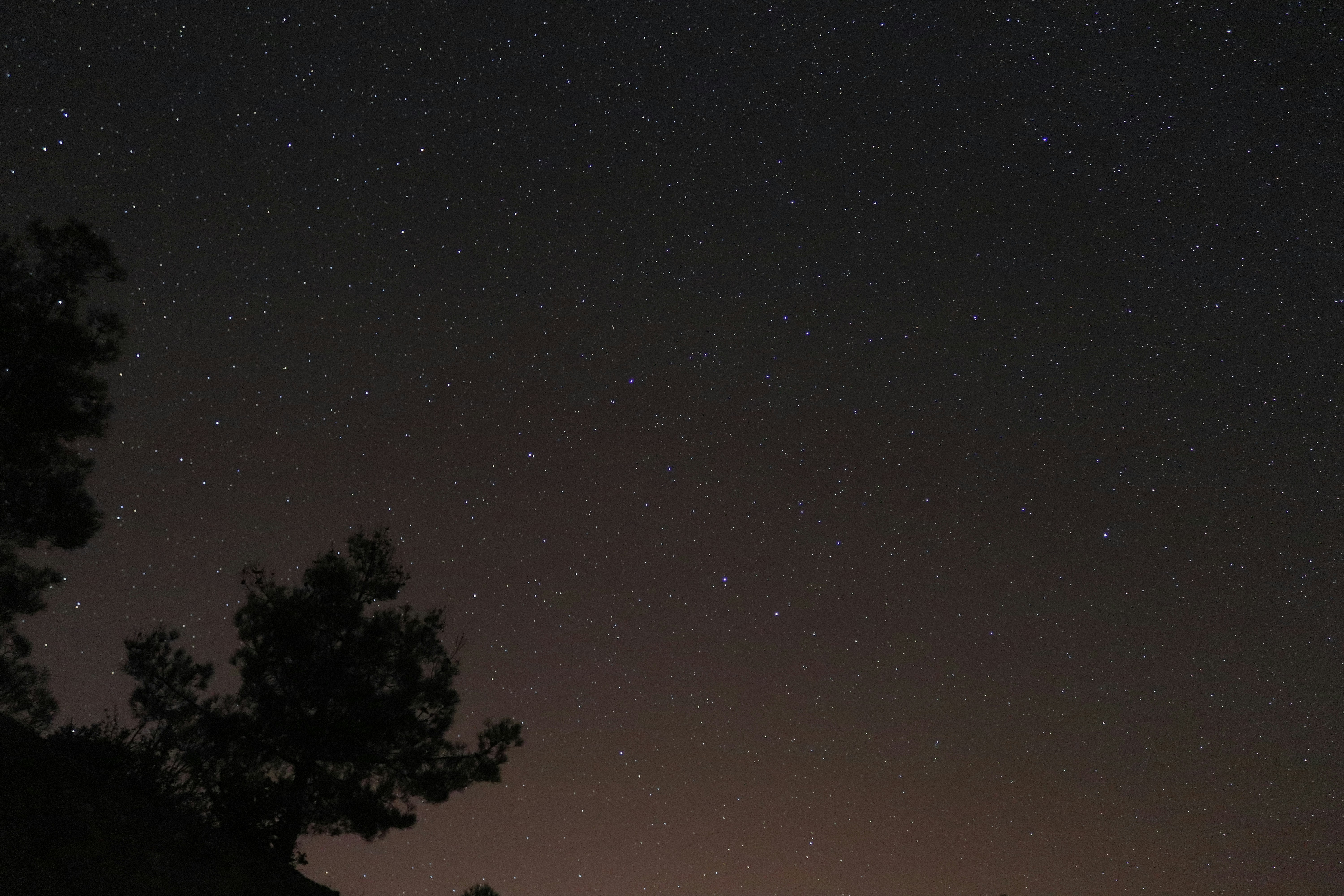 Photo by scentof_ascene