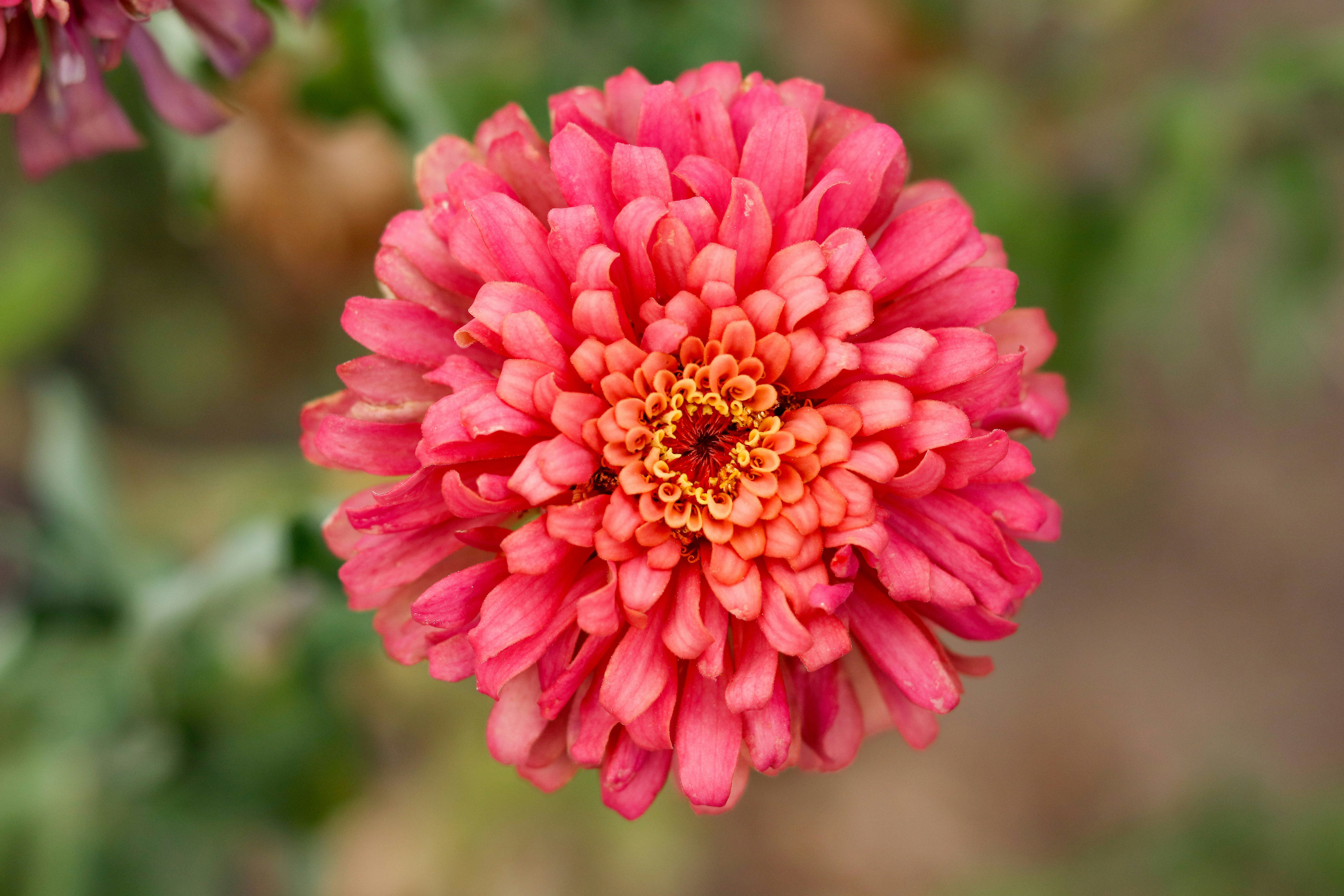 Photo by scentof_ascene