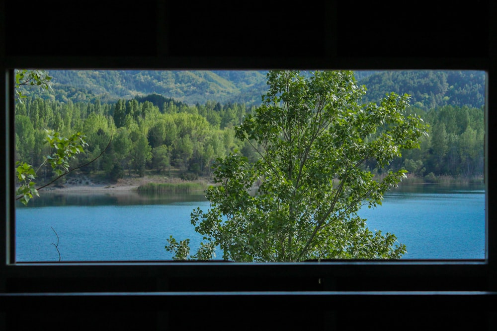 a view of a lake through a window