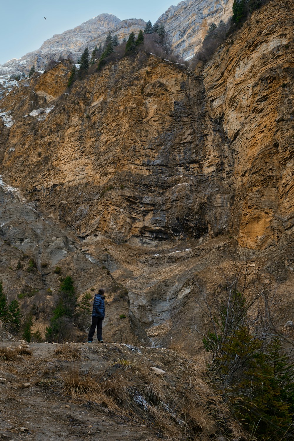 a man standing on top of a hill next to a forest