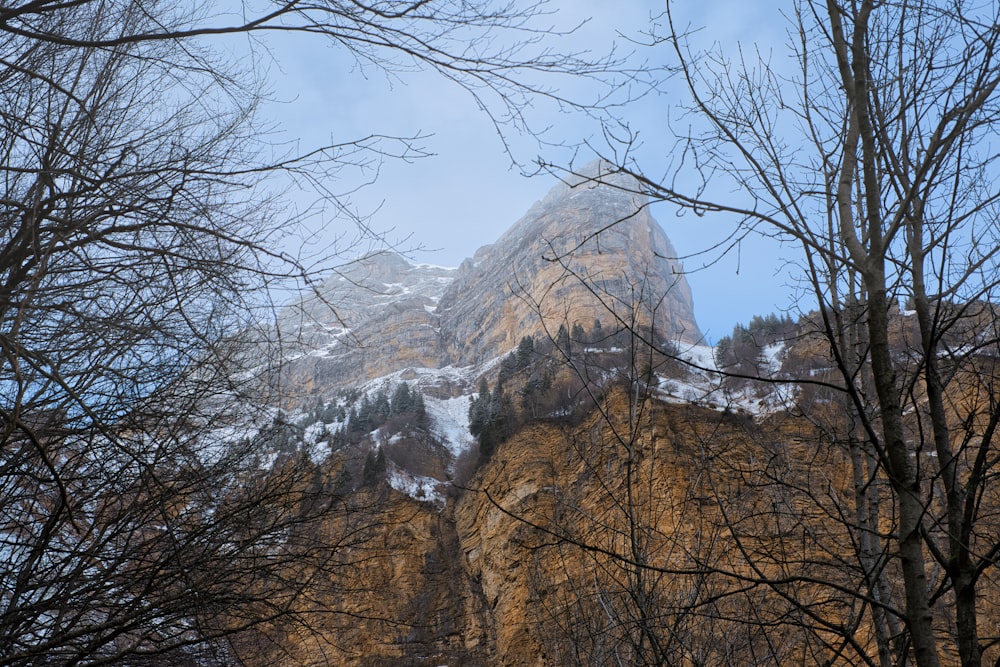 a view of a snowy mountain with trees in the foreground