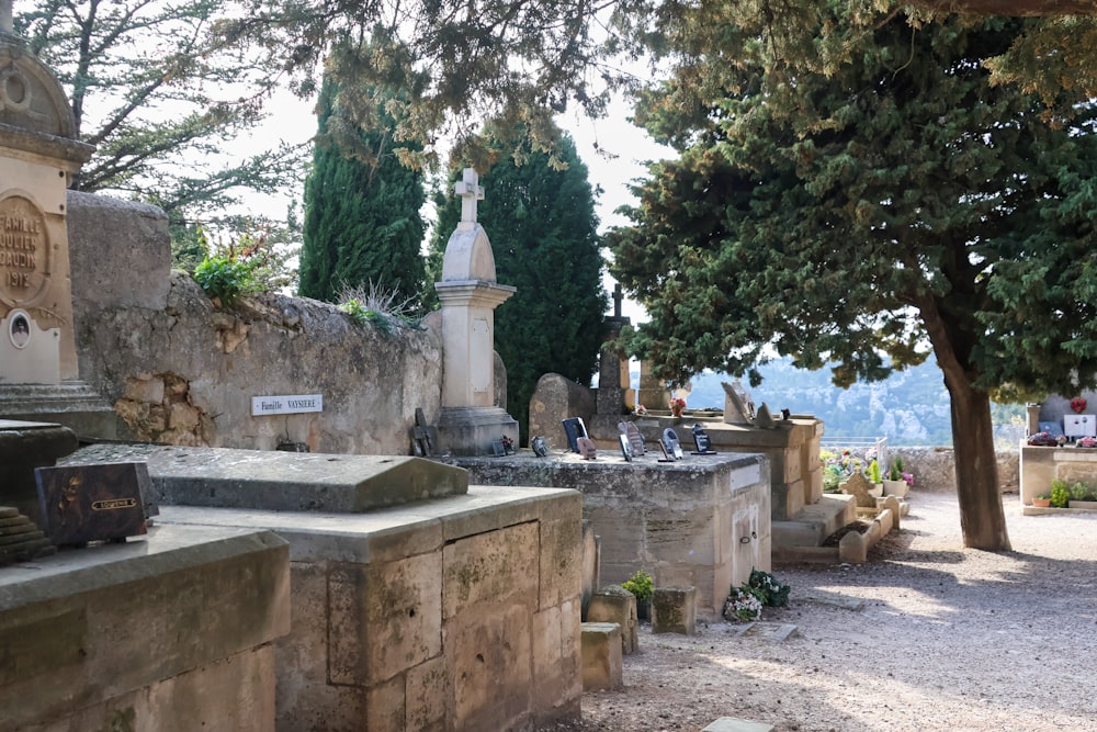 a cemetery with a lot of graves and trees