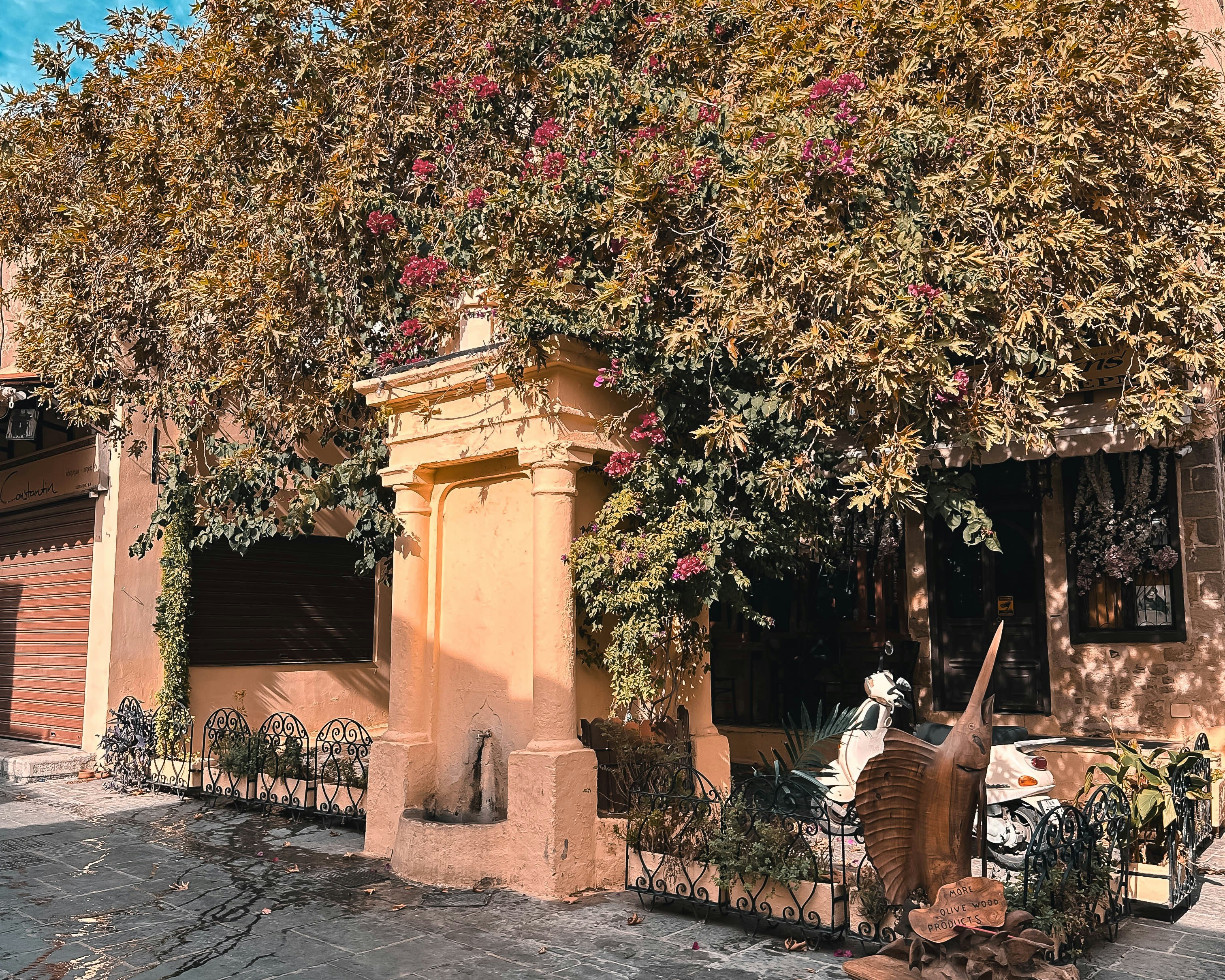 Photo by mancunianrookie