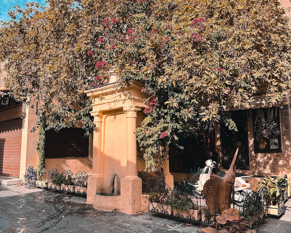 a building with a large tree in front of it