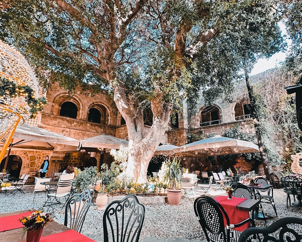 a restaurant with tables and chairs under a large tree
