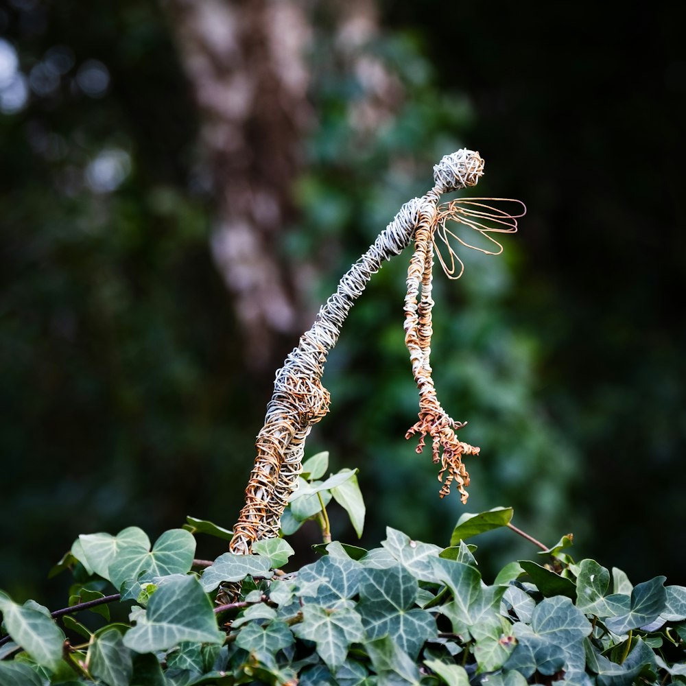 a tree branch with a bunch of leaves on it