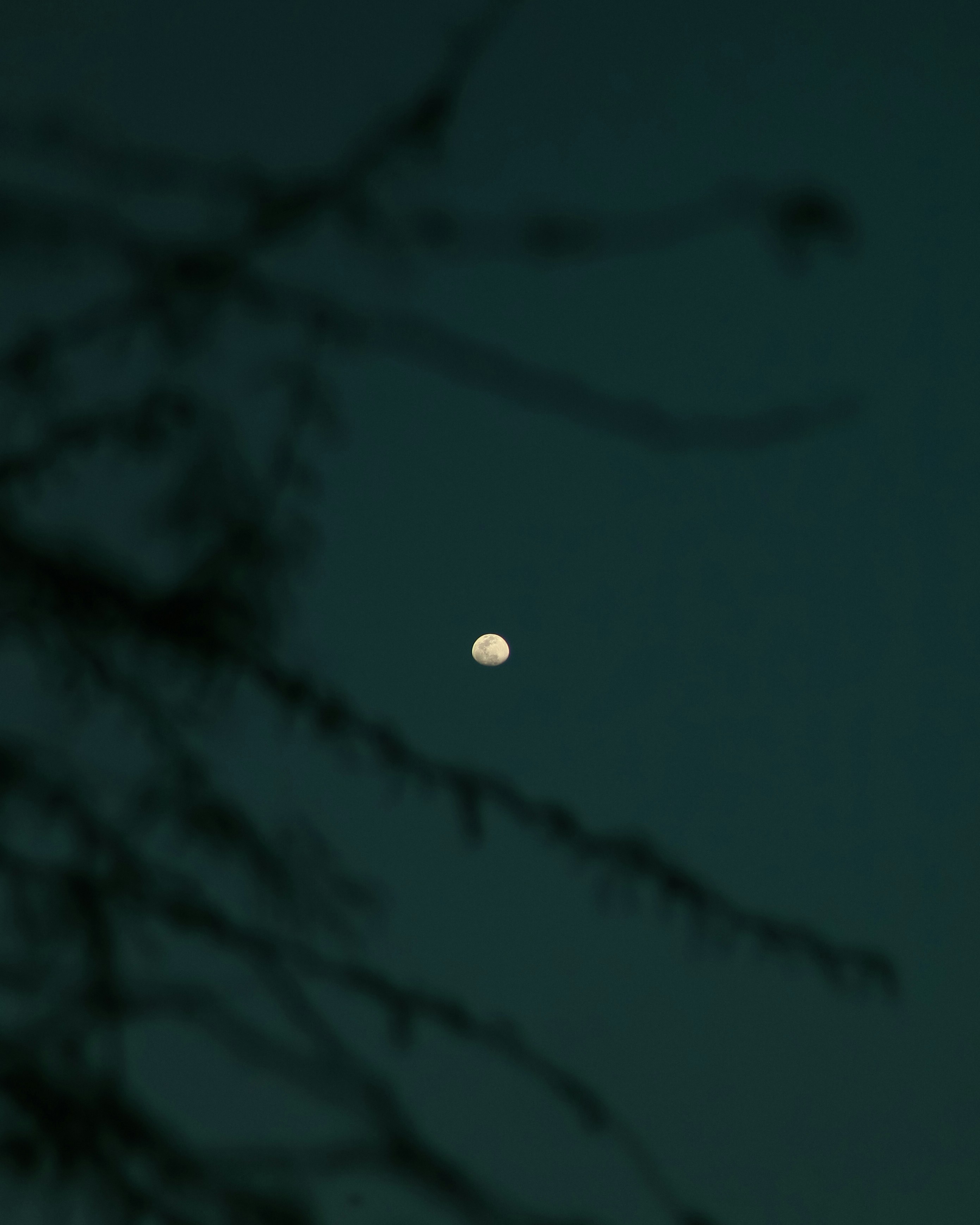 Photo by aalsee_balak