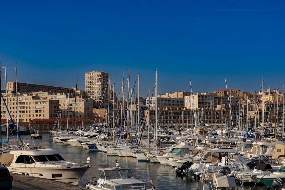 a harbor filled with lots of boats next to tall buildings