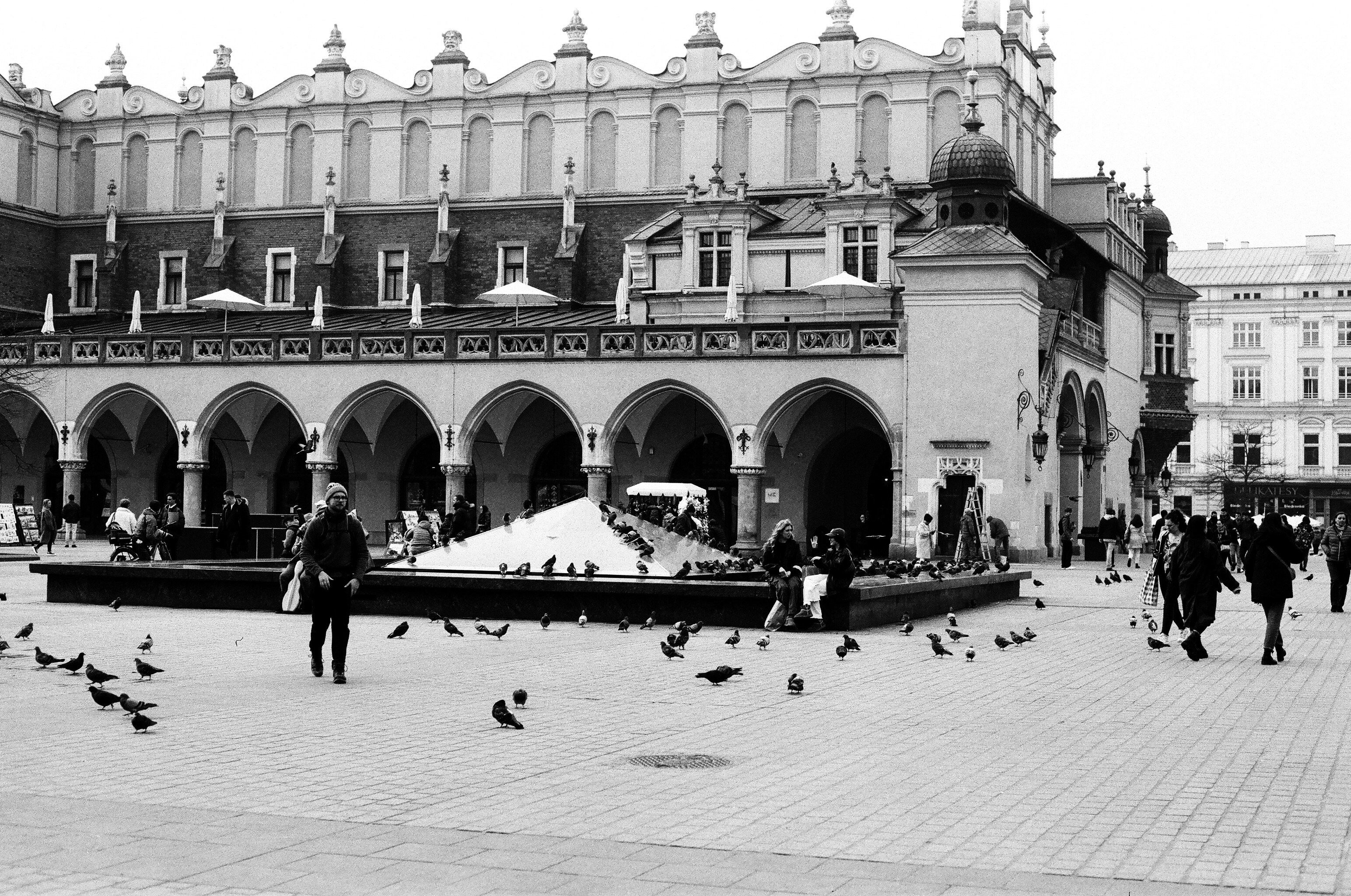 Image by Daniel Silva via Unsplash