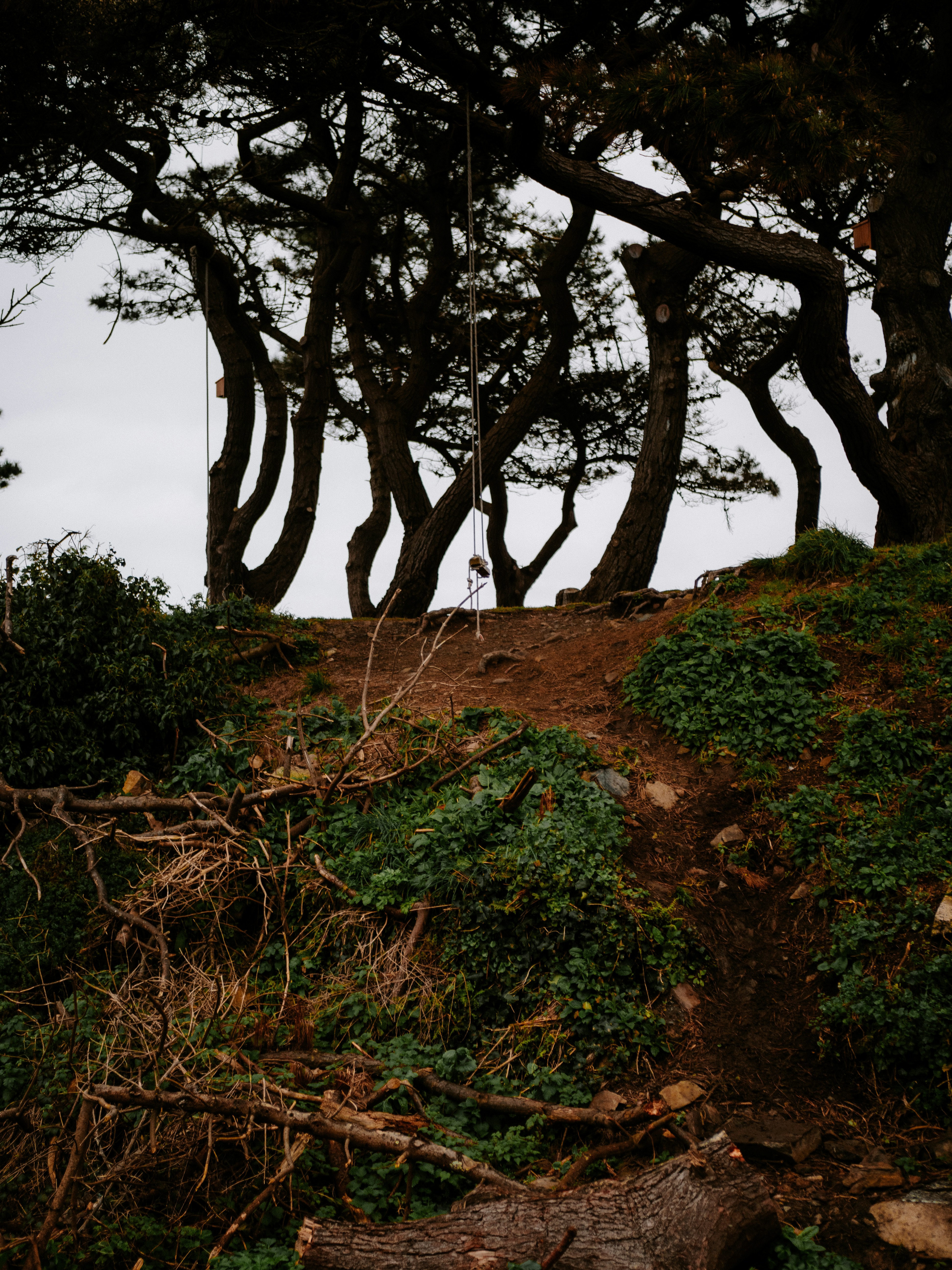 Photo by bengrayland