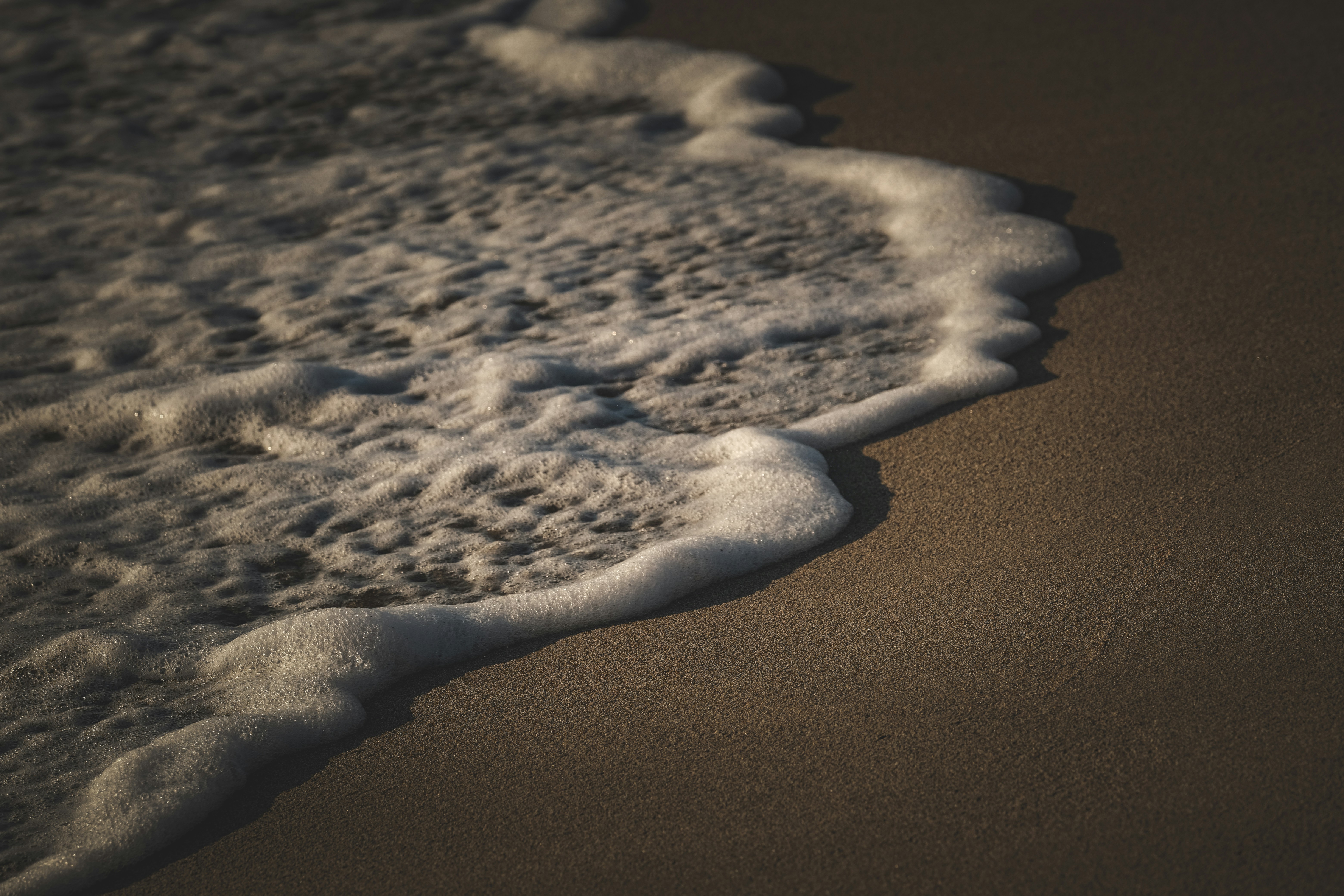 Photo by francesco_ungaro