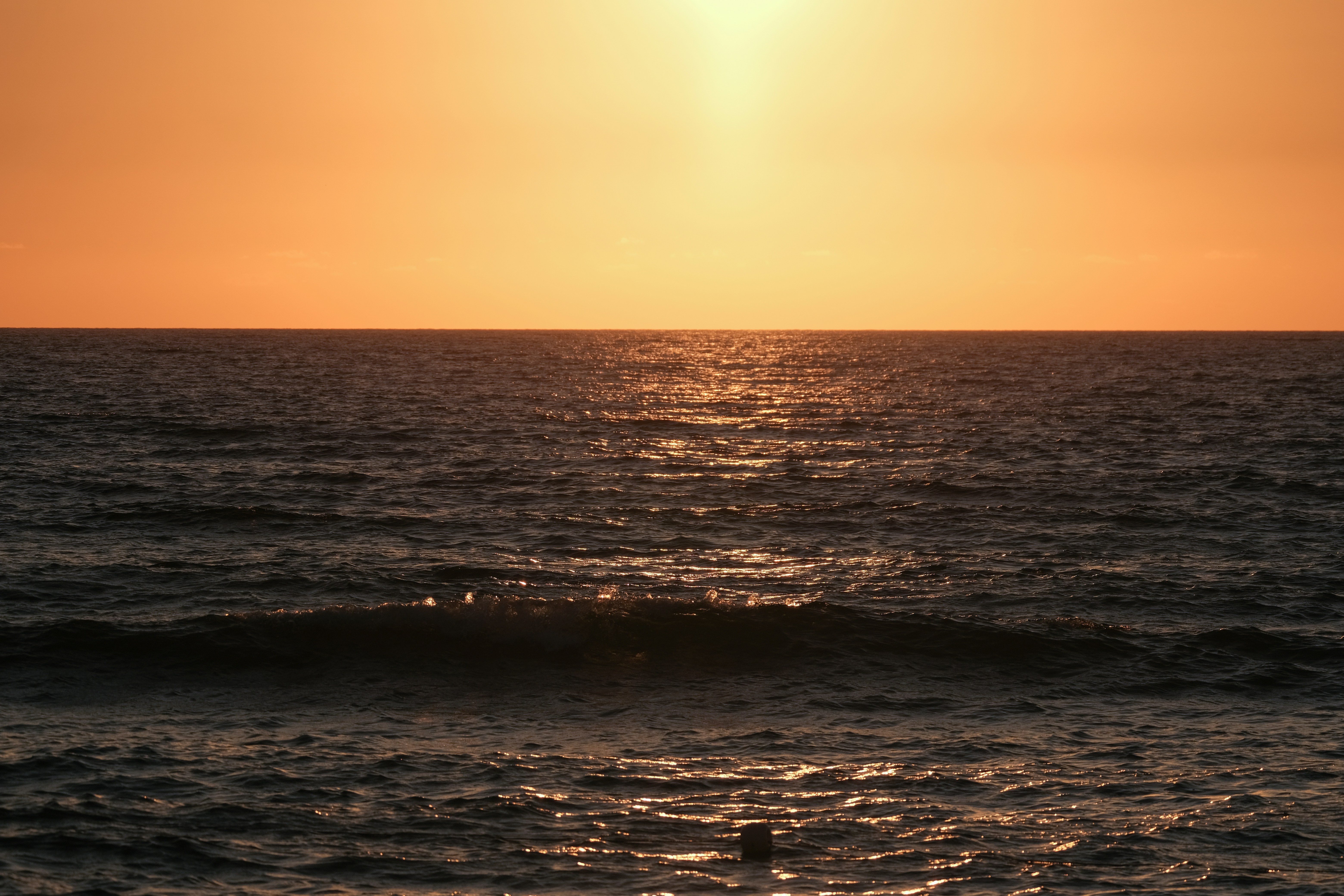 Photo by francesco_ungaro