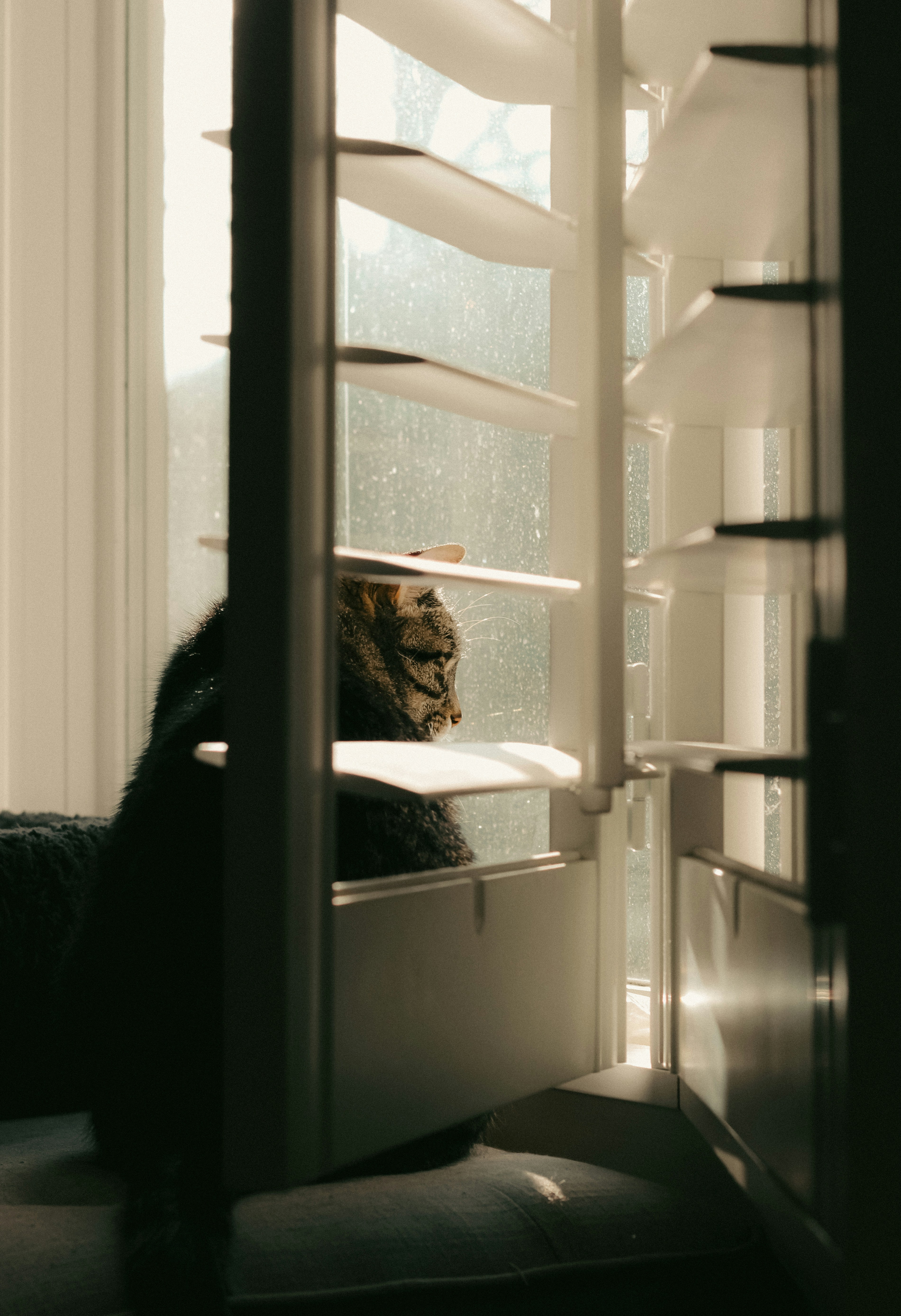 Photo by linusbelanger