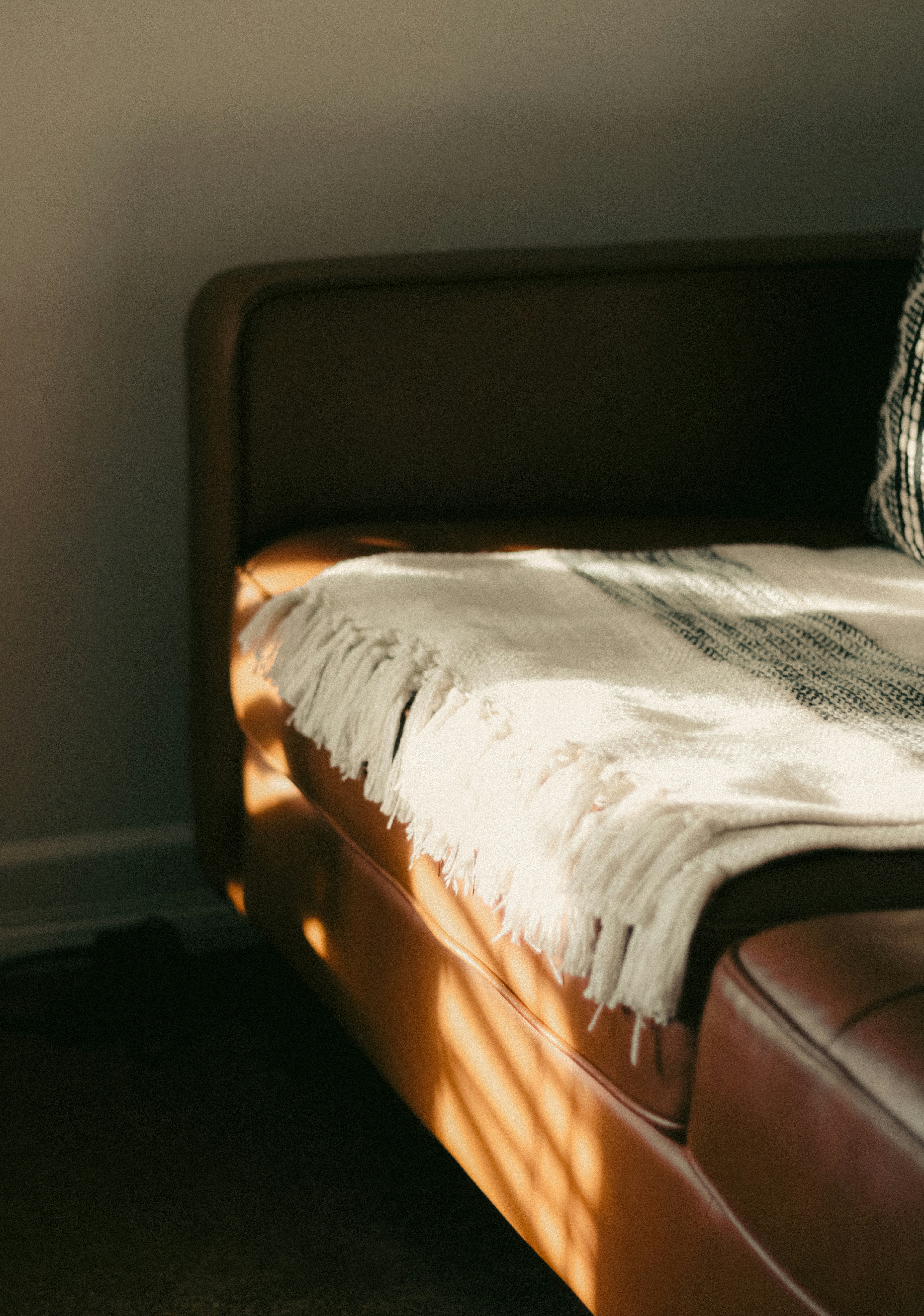 warm morning sunlight through blinds in cozy living room