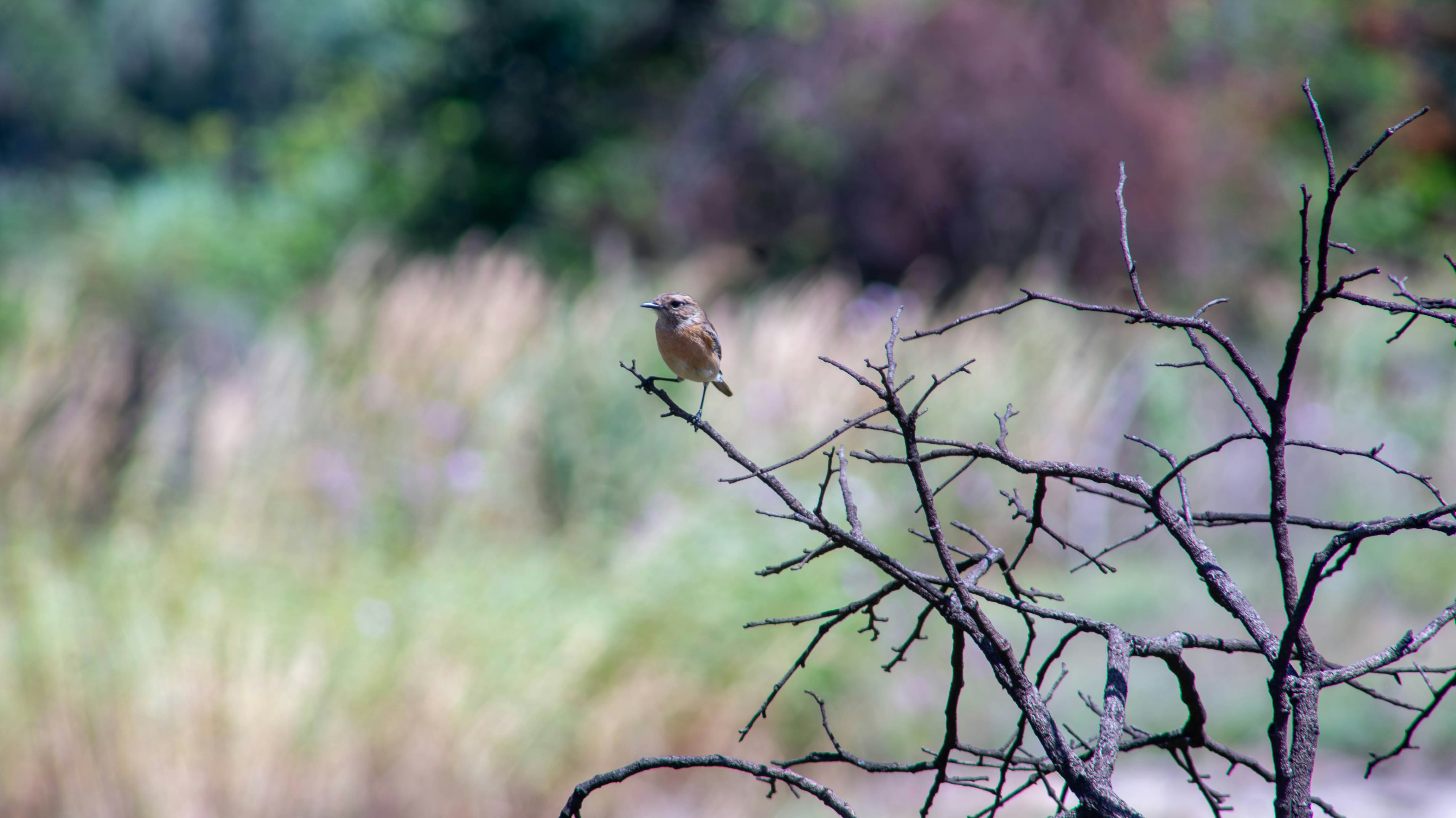 Photo by munlincsystems