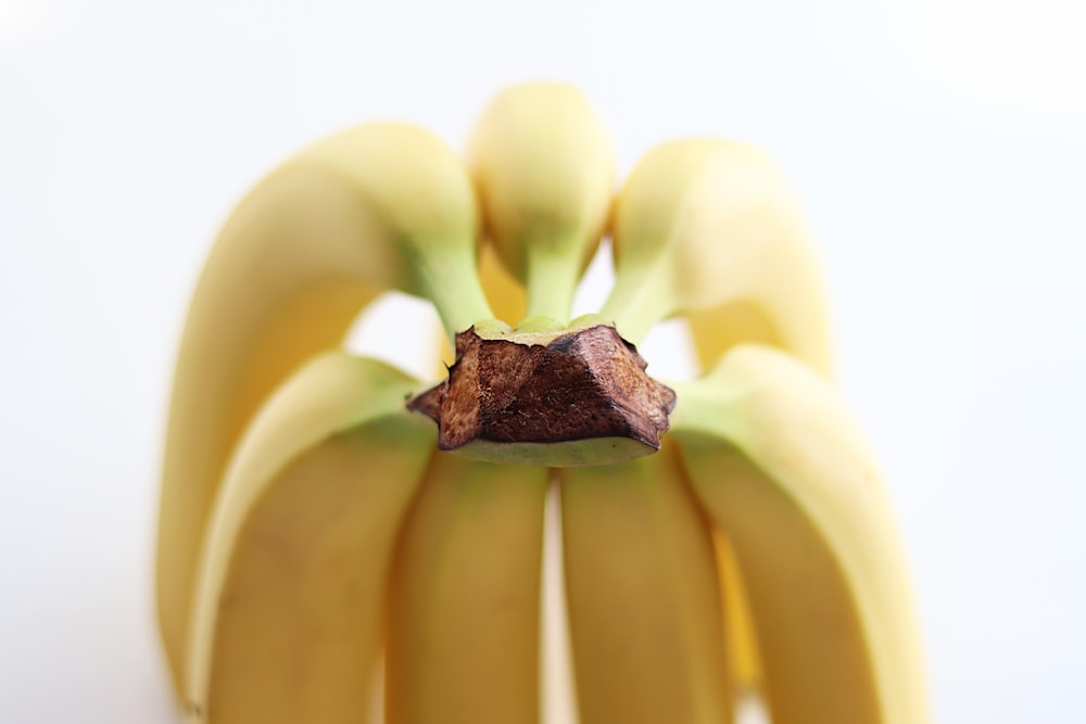 a close up of a bunch of bananas