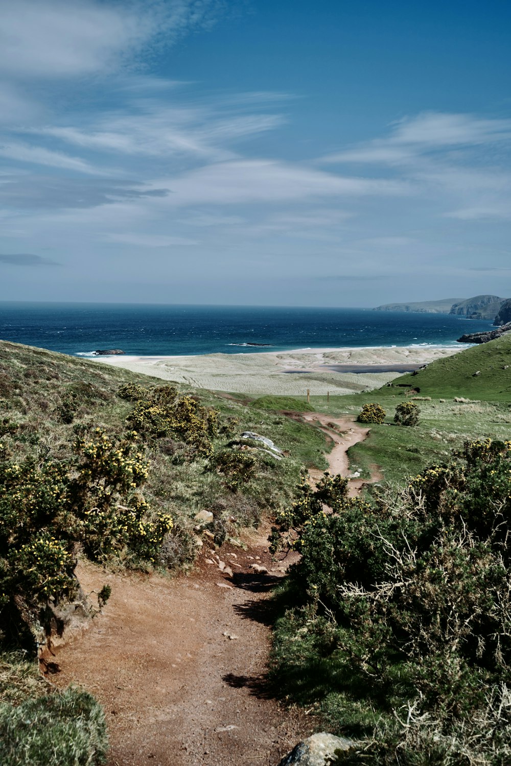 a dirt path leading to the ocean on a sunny day