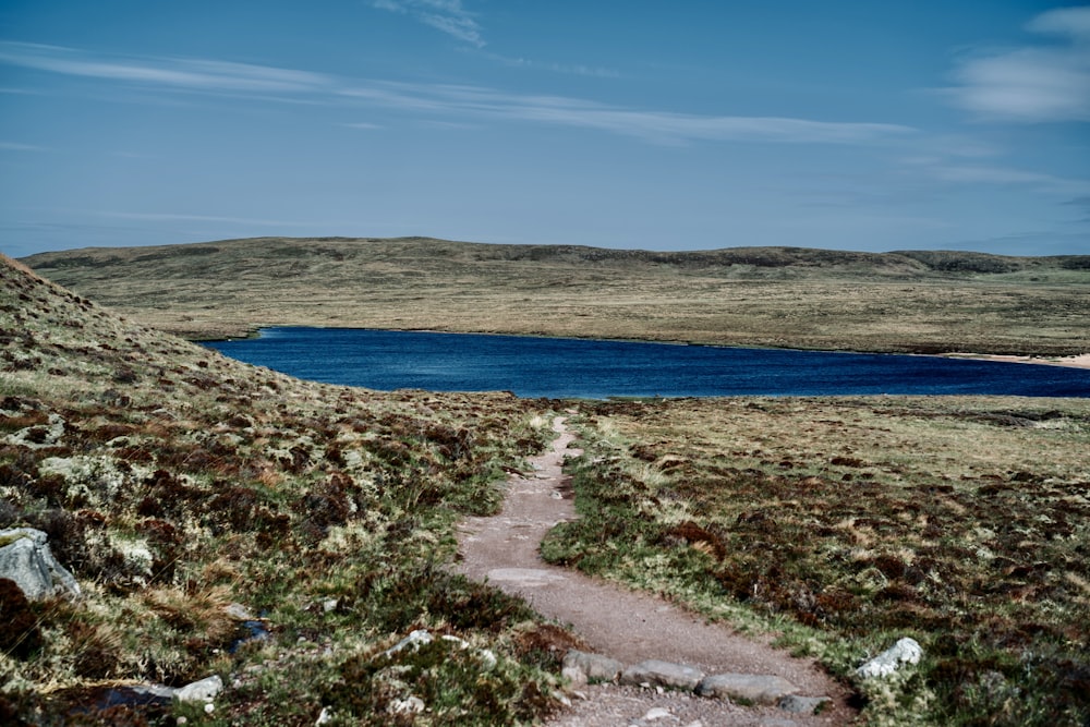 a path leading to a lake in the middle of a field