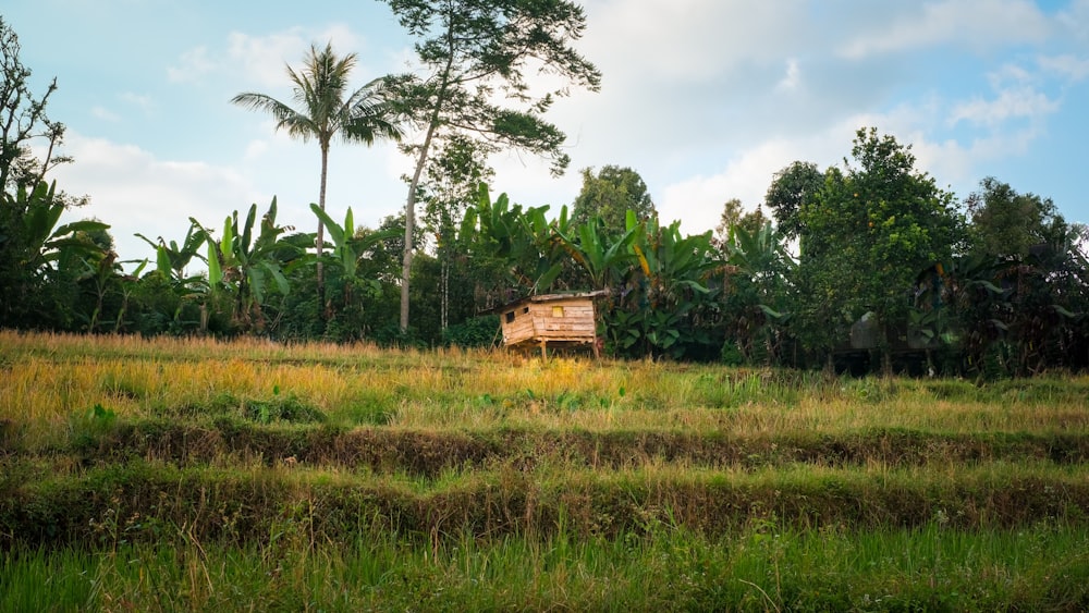 a field with a wooden structure in the middle of it