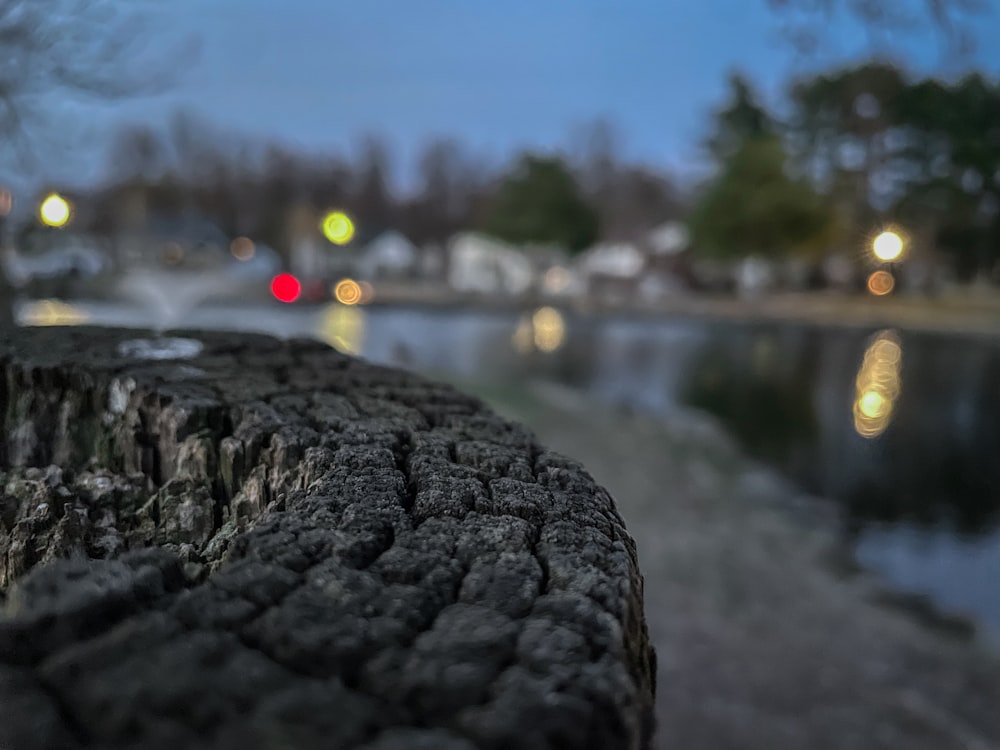 a close up of a tree stump near a body of water