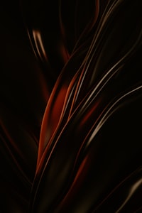 a black and red background with wavy lines