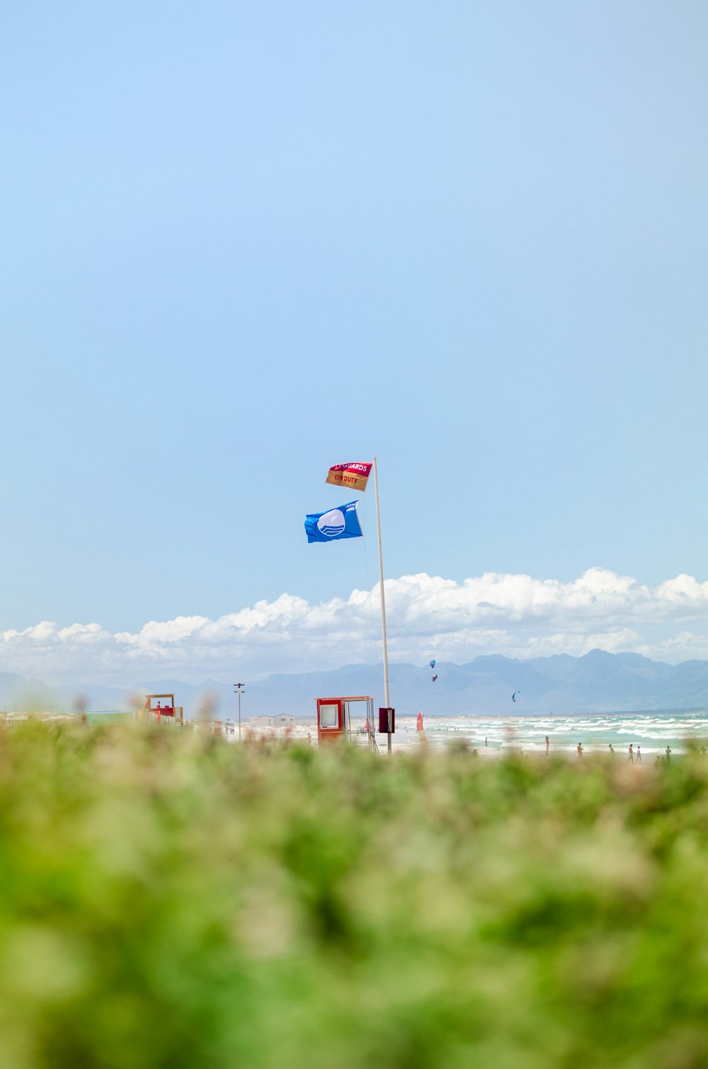 a couple of flags that are in the grass