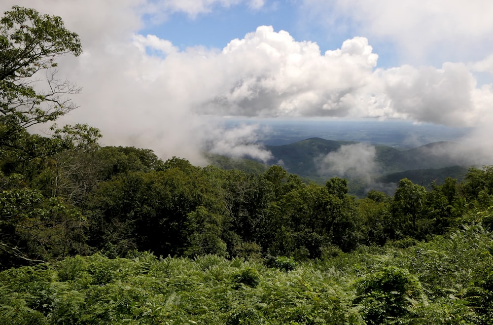 a view of the mountains and clouds from the top of a hill