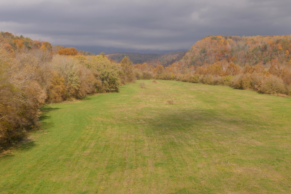 an aerial view of a grassy field with trees in the background