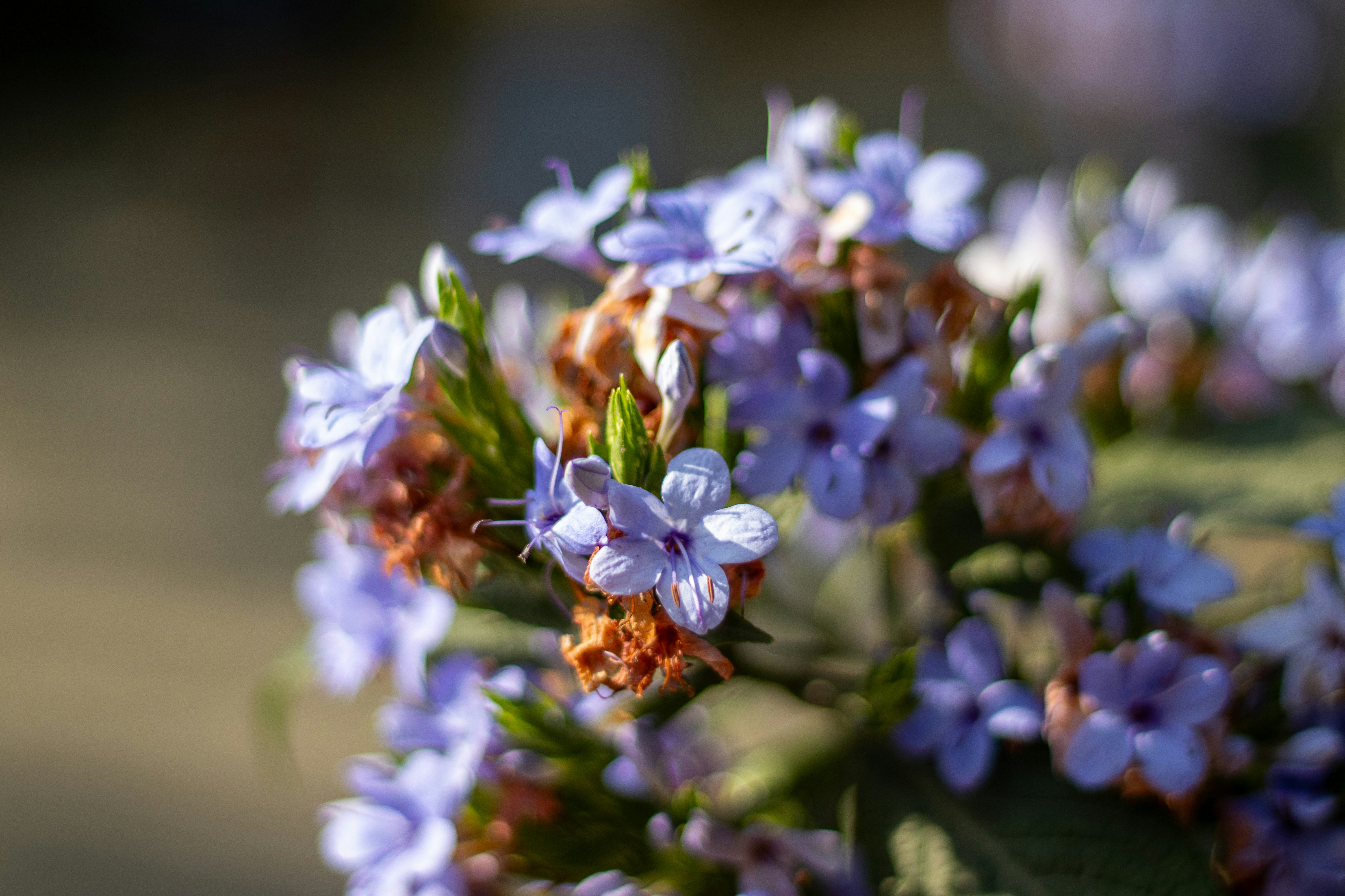 Photo by akshat_jhingran