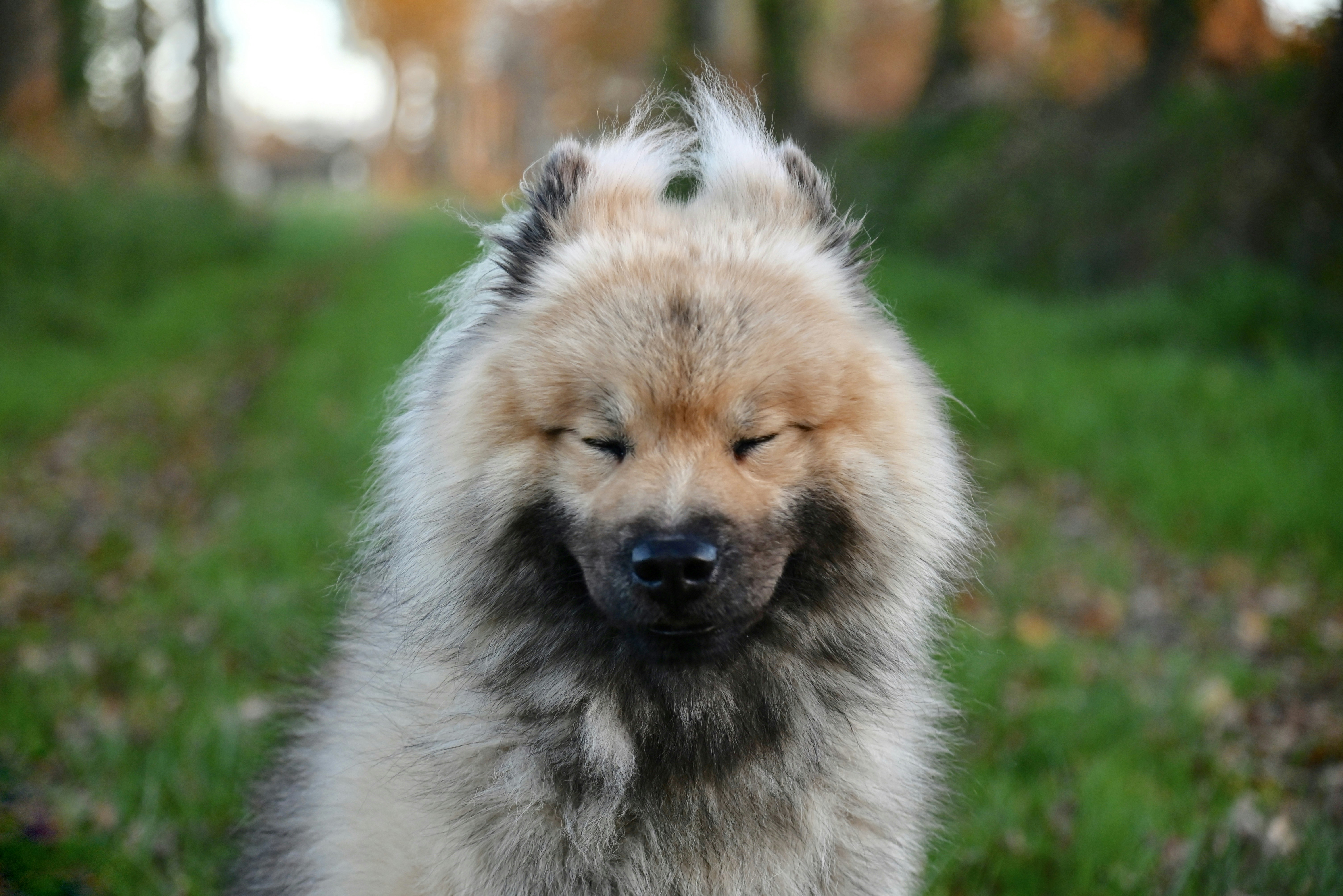 What Healthy Head Movements Look Like