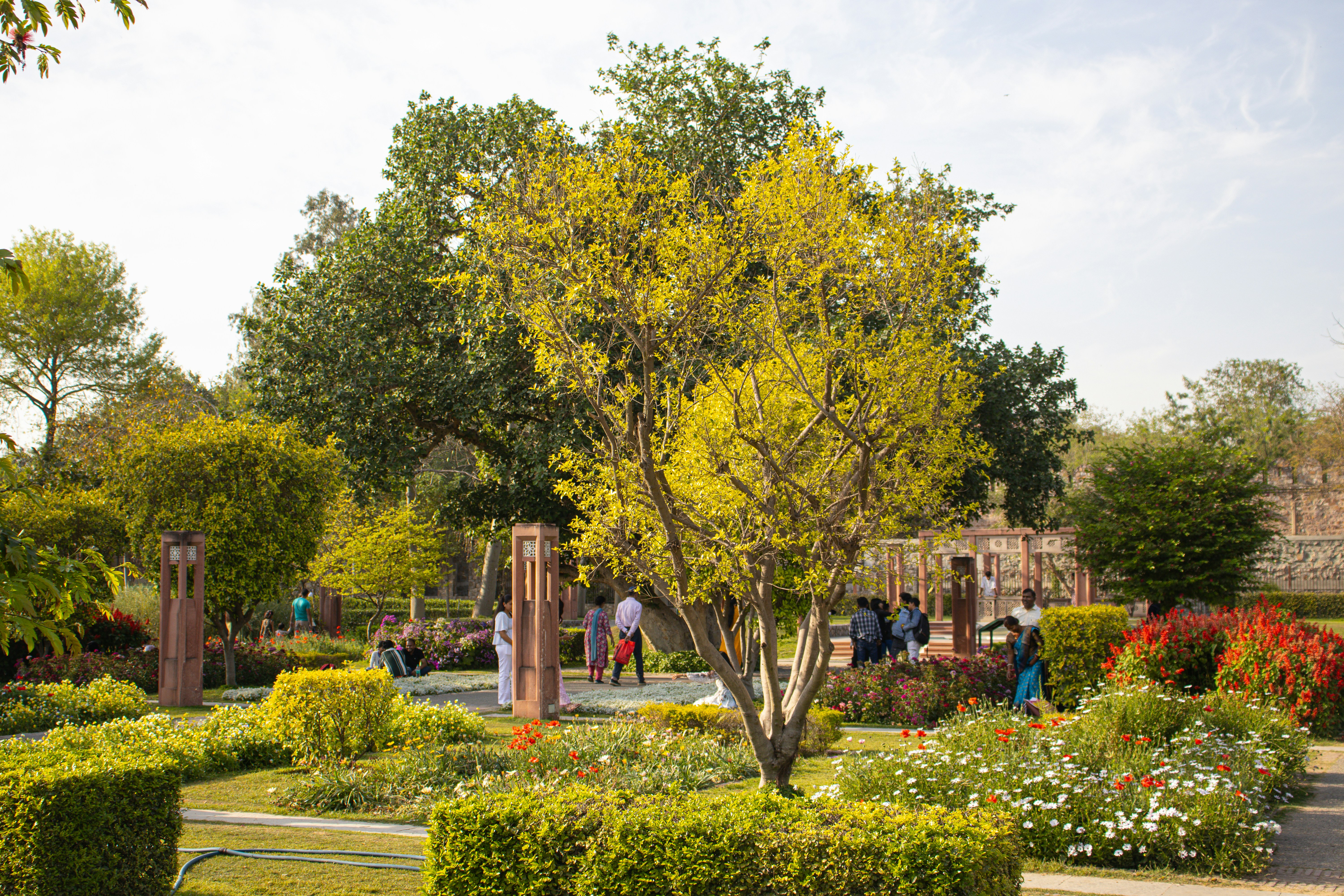 Photo by akshat_jhingran