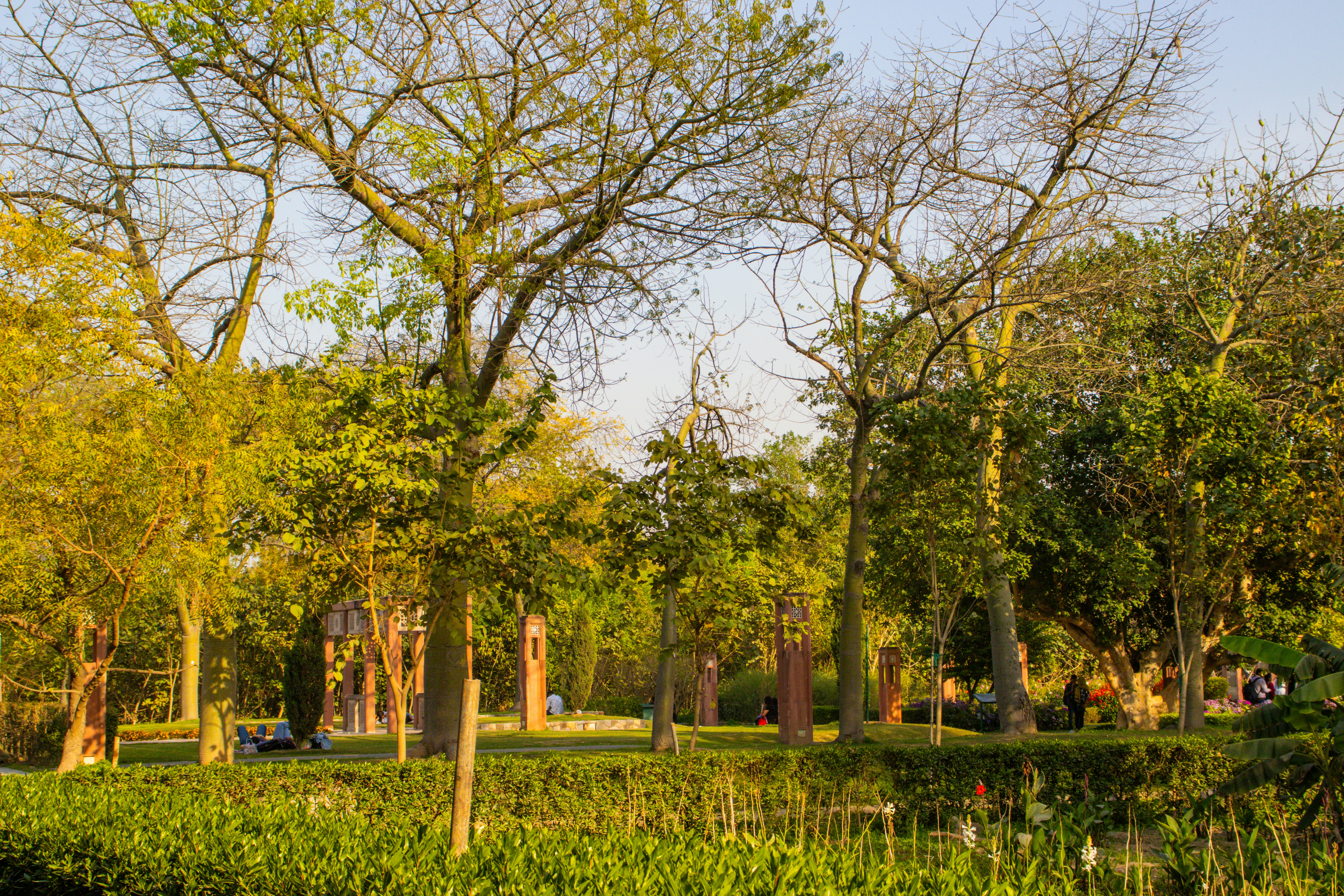 Photo by akshat_jhingran