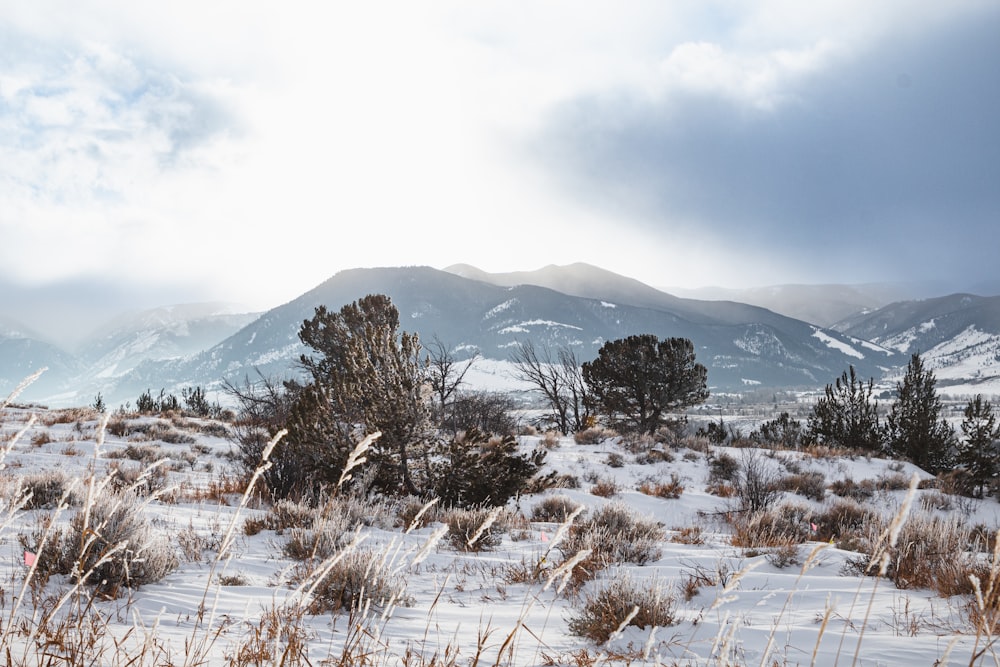 a snow covered field with mountains in the background