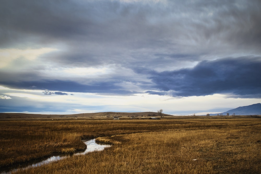 a field with a stream running through it under a cloudy sky