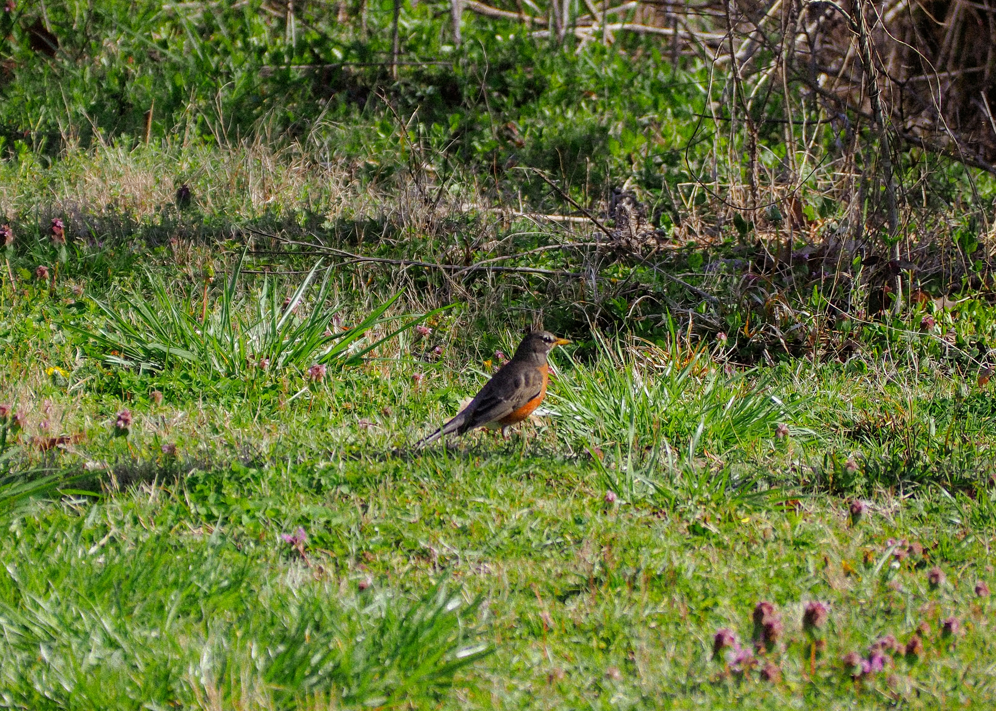 Photo by fieldworkframes