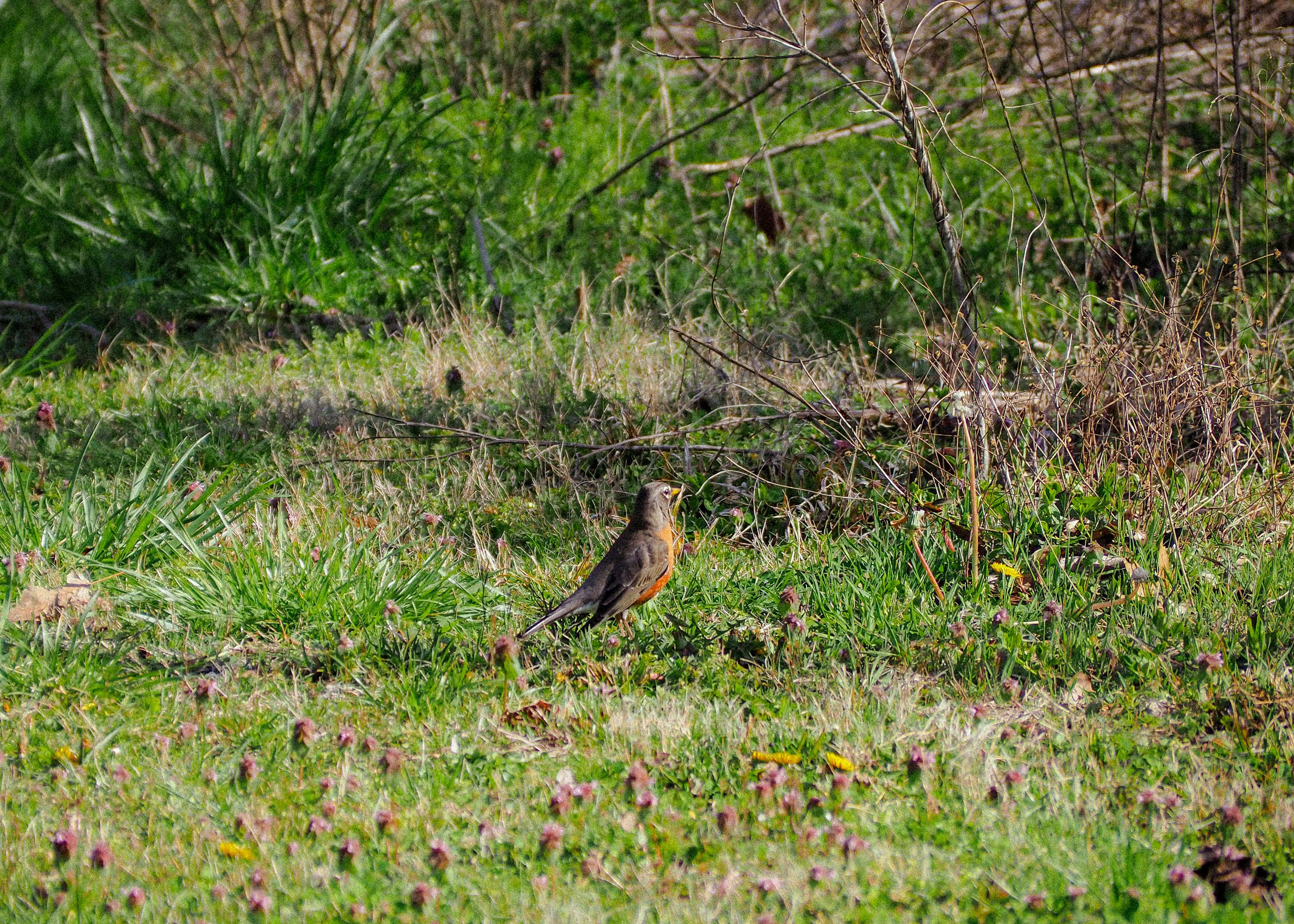 Photo by fieldworkframes