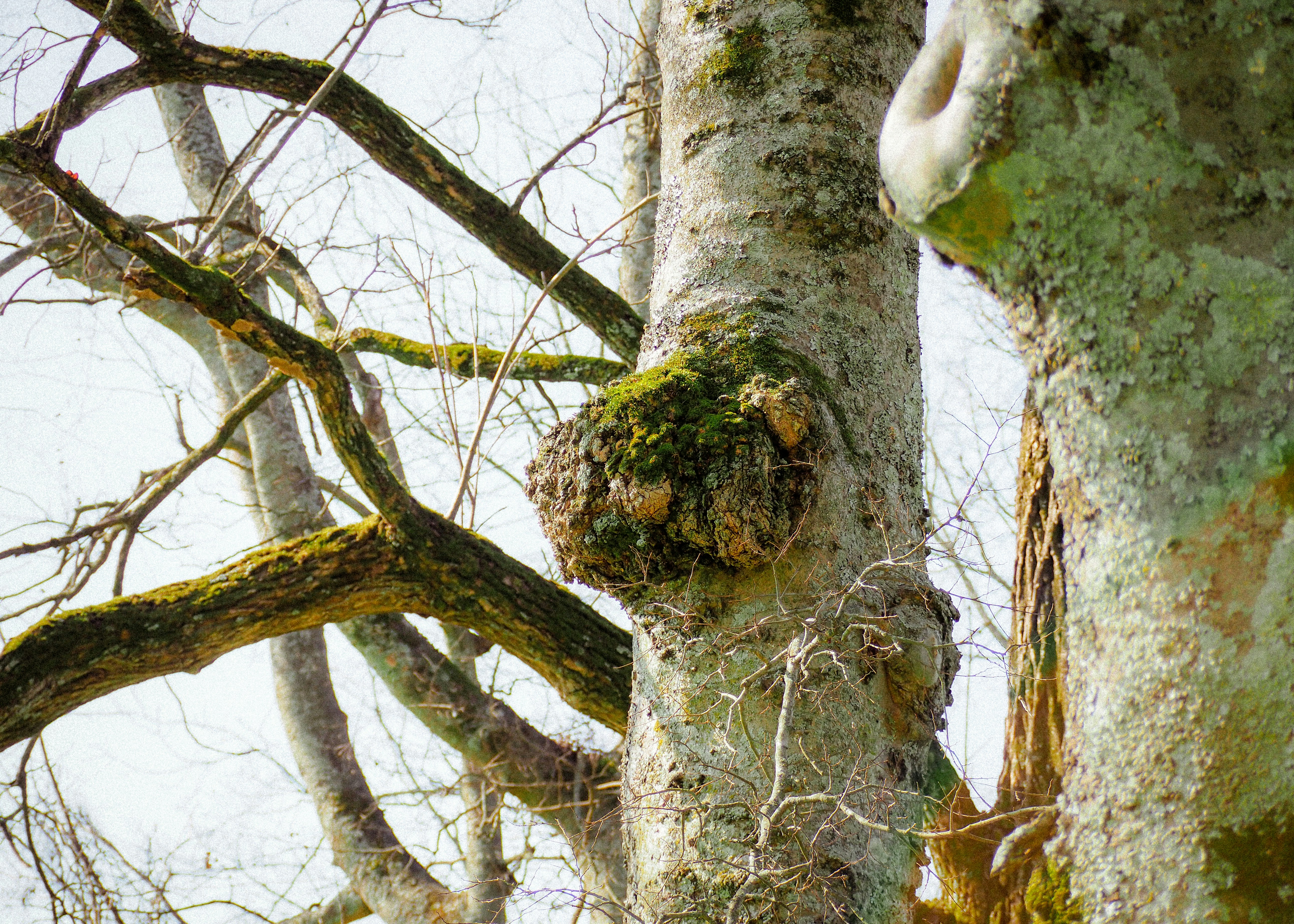 Photo by fieldworkframes