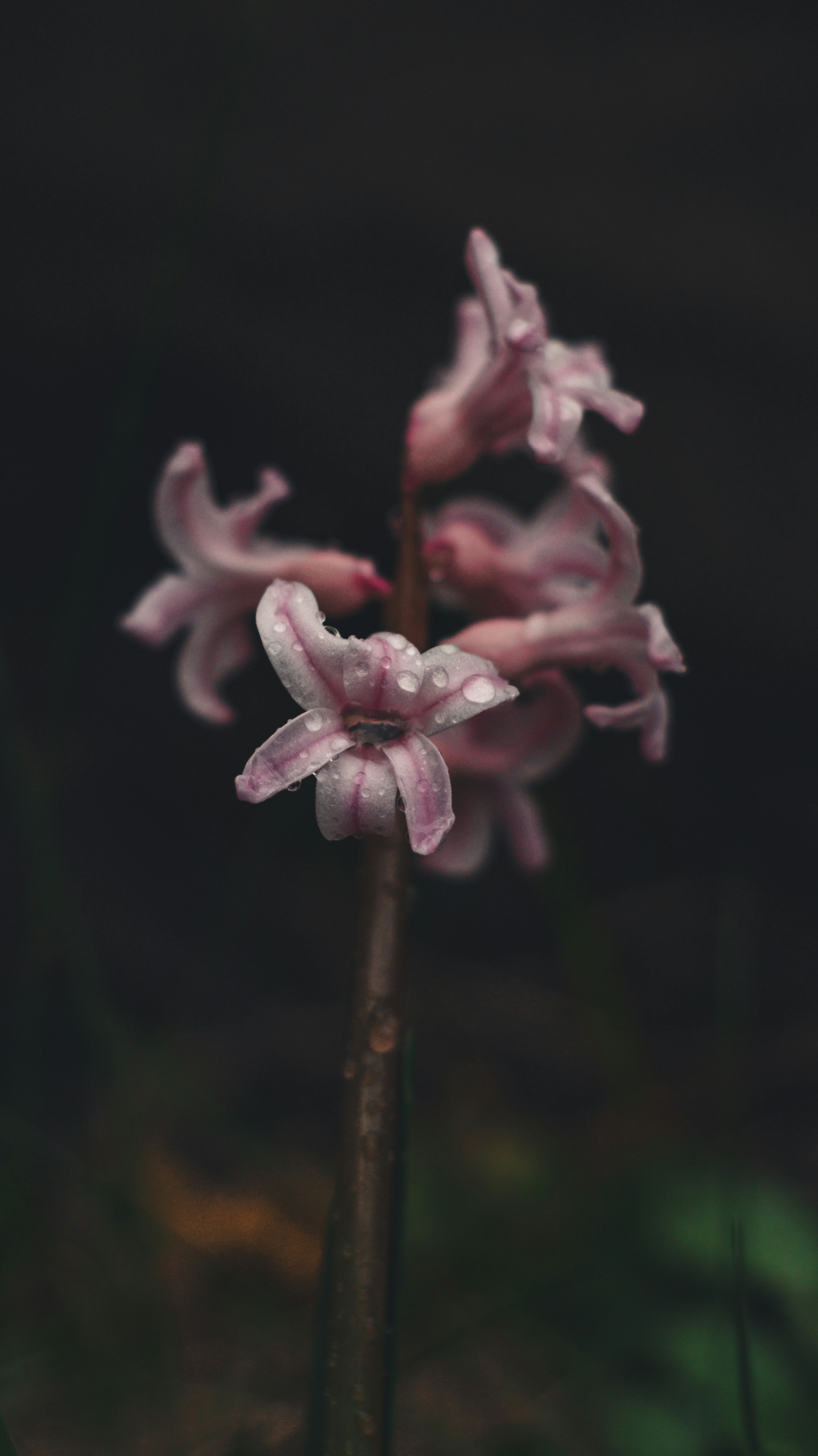 Photo by sprucejpg
