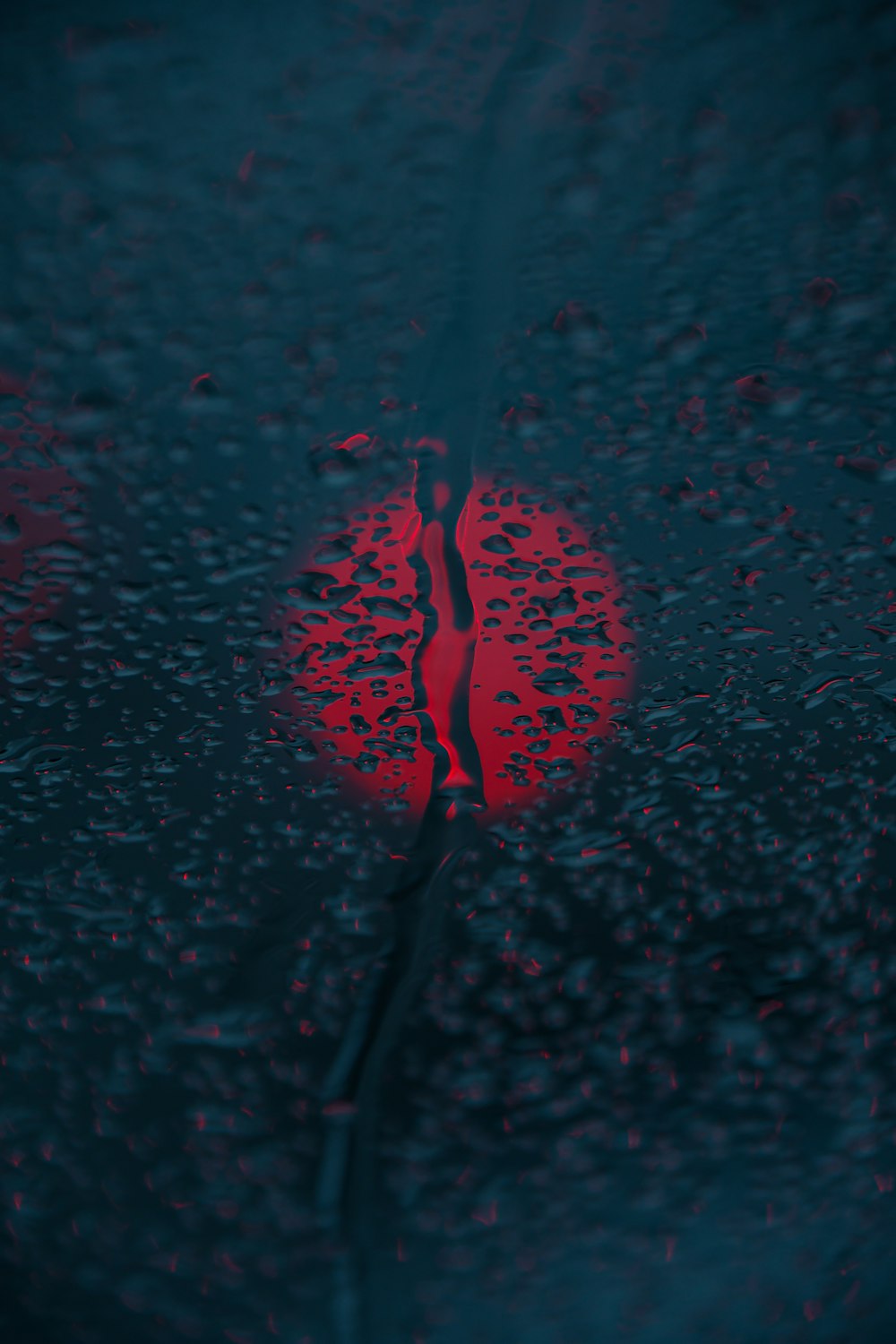 a close up of a red object on a wet surface