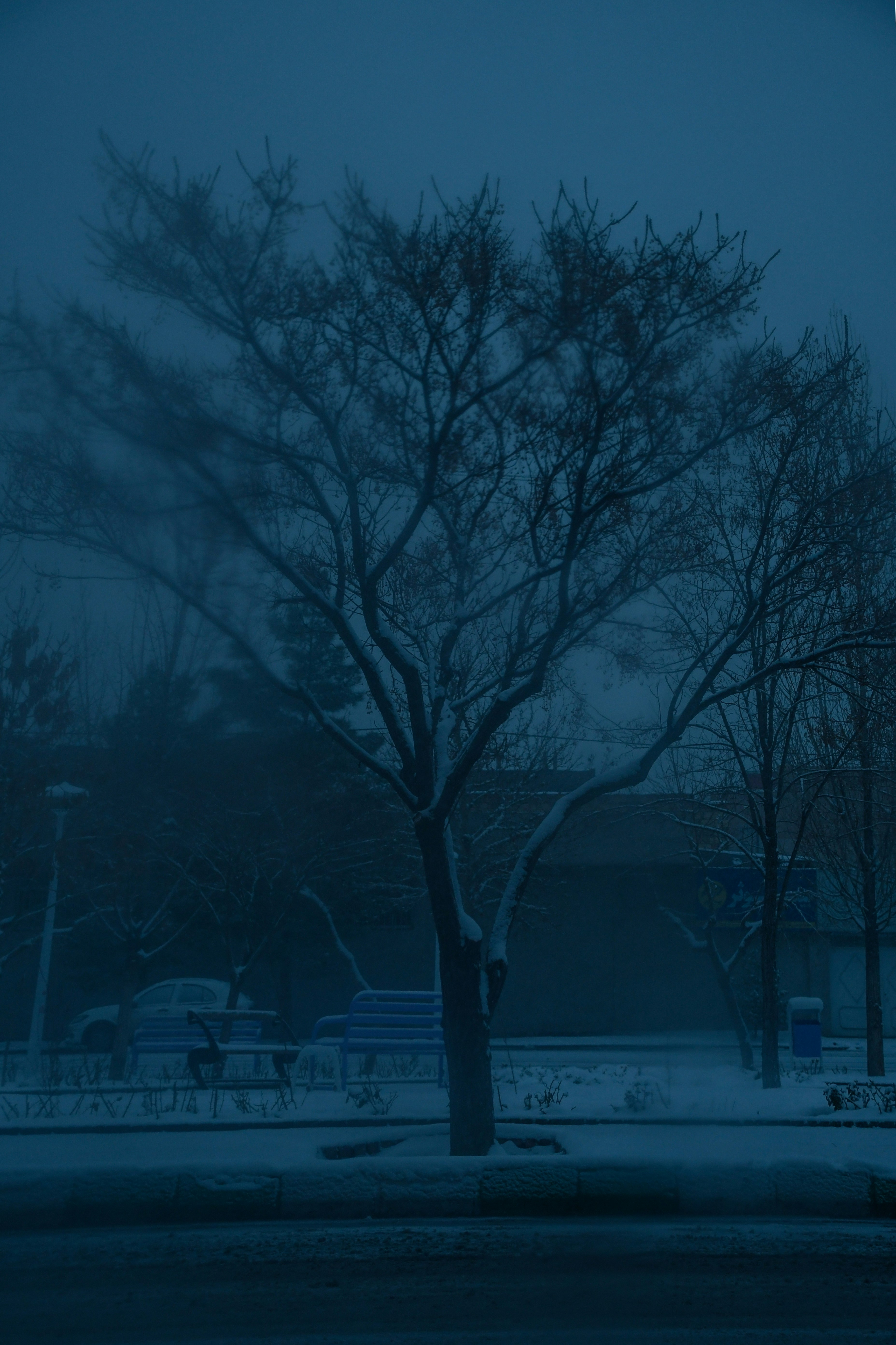 Photo by s_ahmadreza_p