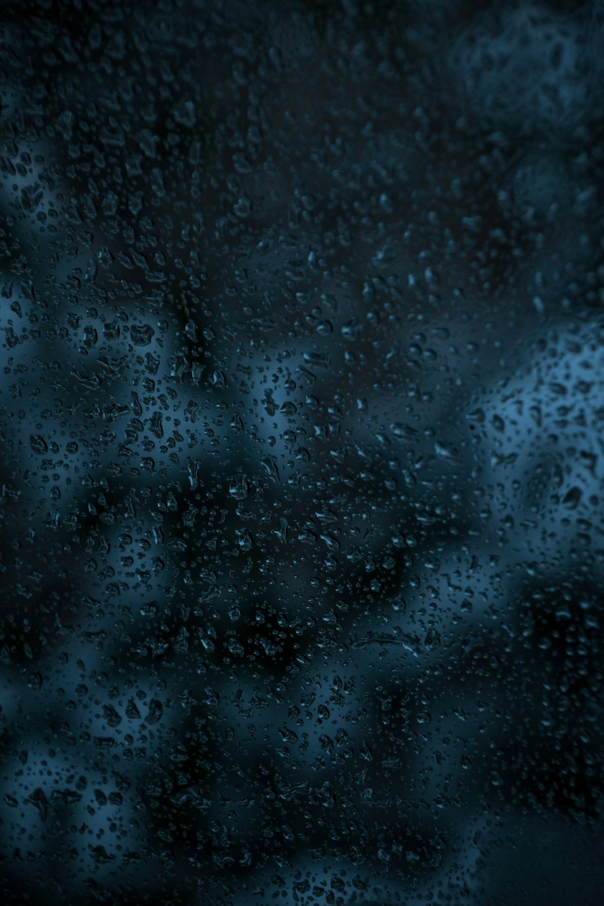 Photo by s_ahmadreza_p