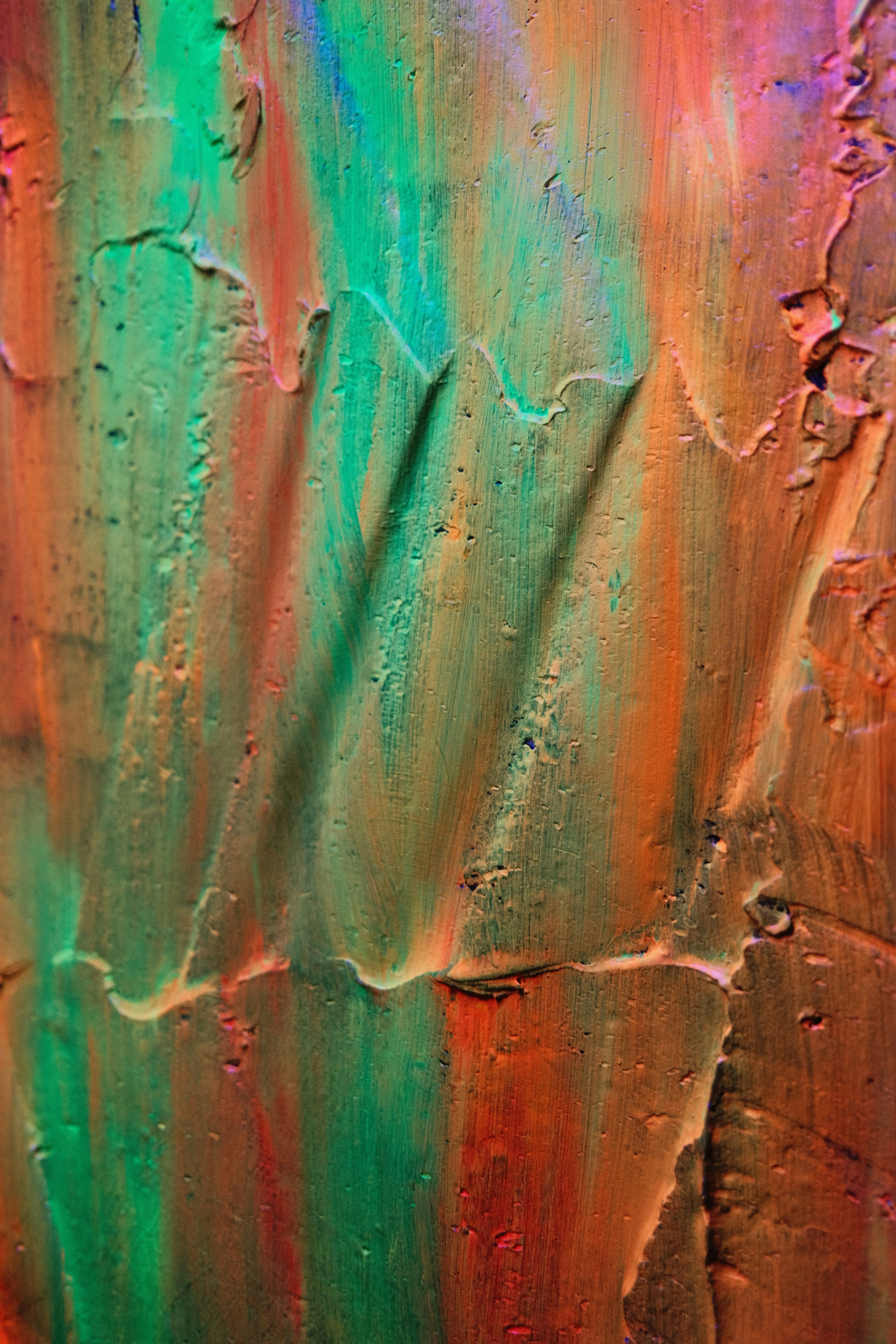 Photo by harryborrettphotography